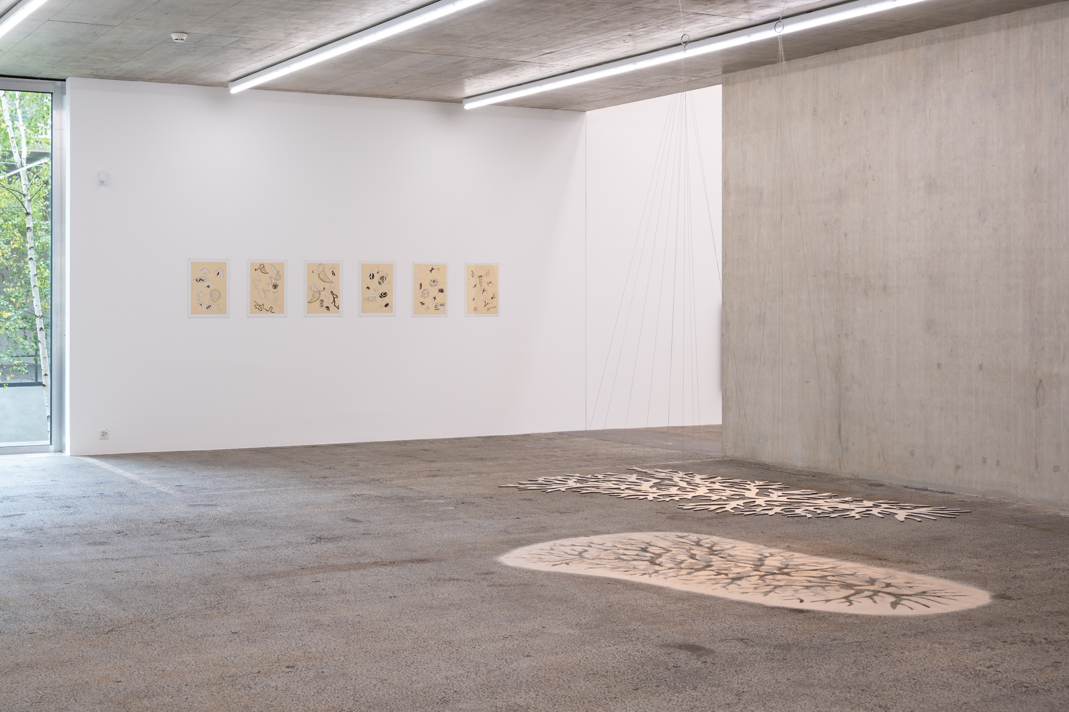 Eva Lootz, Serie 'Basilea', 1988.Cuenca suspendida II, 2009. Courtesy the artist.  Installation view Kunsthaus Baselland 2025. Foto / Photo: Finn Curry