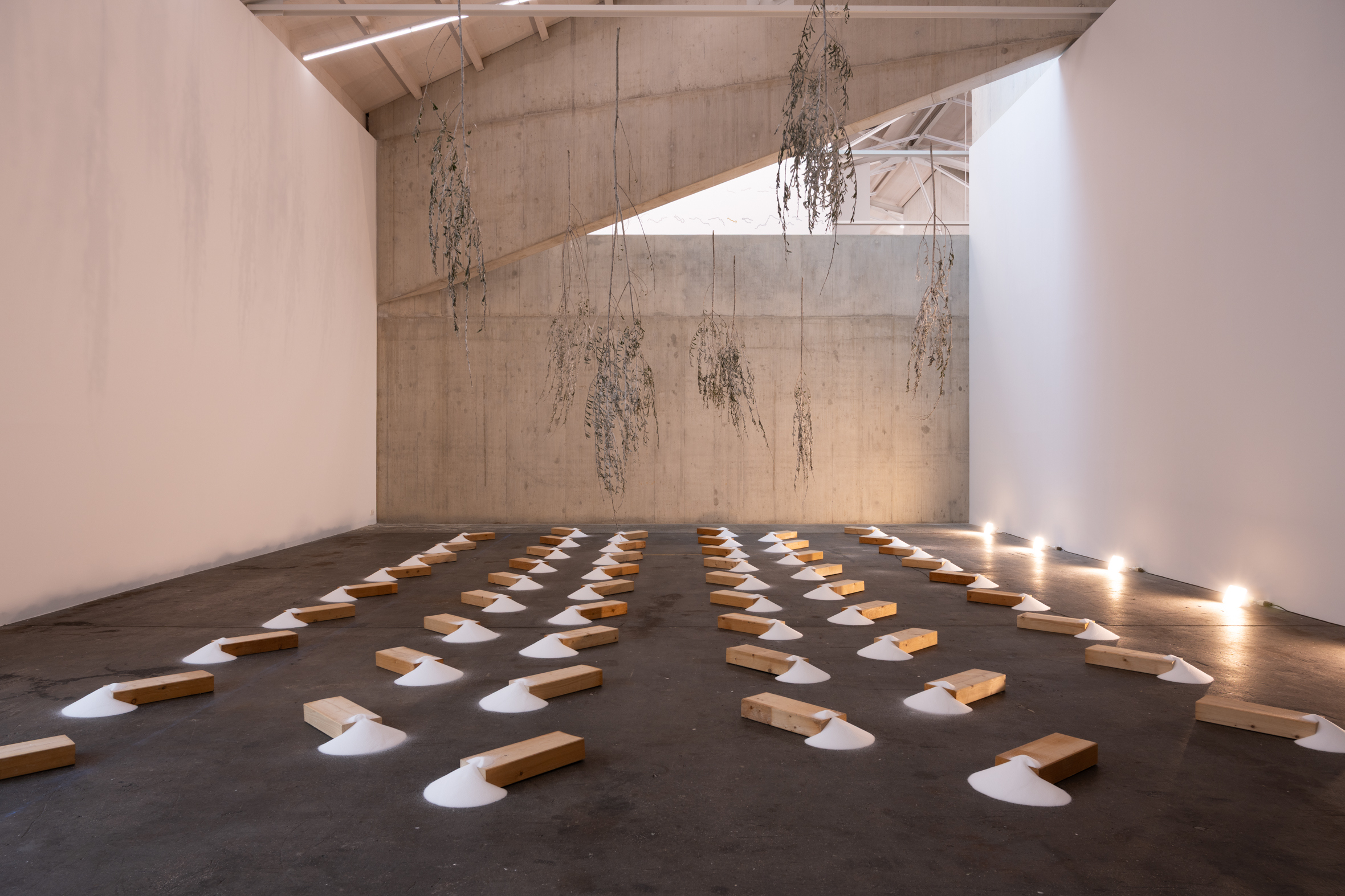 Eva Lootz. Salario, 2004. Courtesy the artist.  Installation view Kunsthaus Baselland 2025. Foto / Photo: Finn Curry