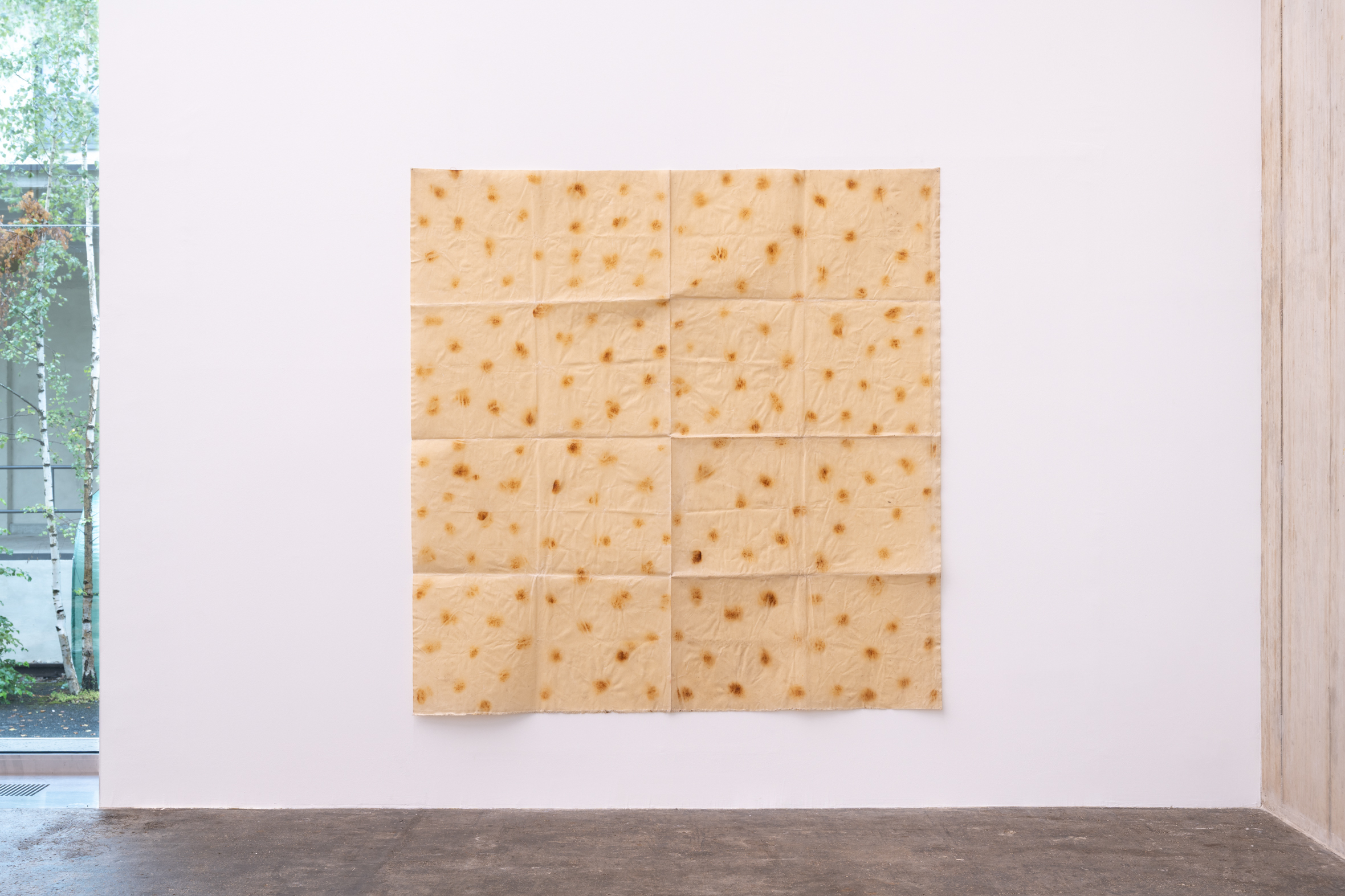 Eva Lootz. Pañ̃o quemado, 1979. Courtesy the artist.  Installation view Kunsthaus Baselland 2025. Foto / Photo: Finn Curry