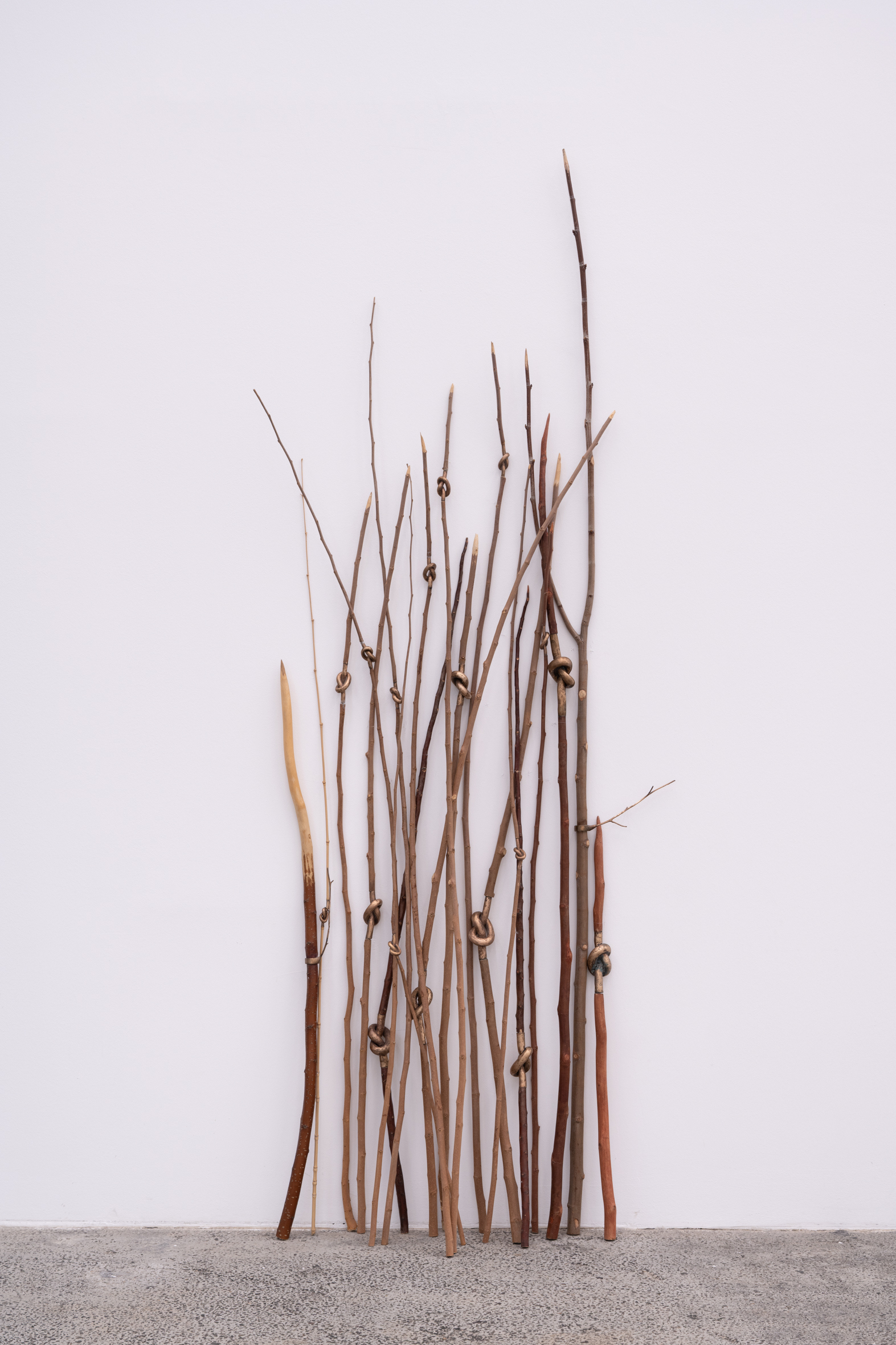 Eva Lootz. Sin título (Ramas con nudos de bronce), 1994. Courtesy the artist. Installation view Kunsthaus Baselland 2025. Foto / Photo: Finn Curry