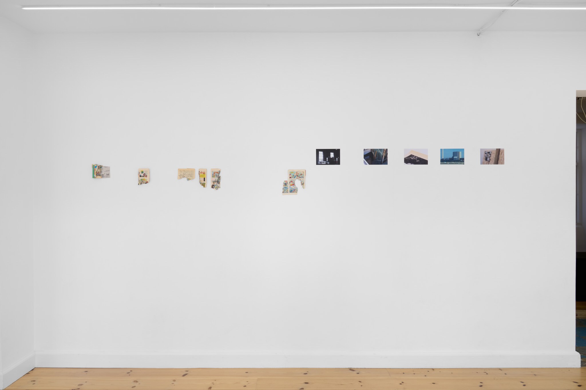 install, left to right 'Cartoon Physics' 1-6, comic book, 'the view', 'Thinking things 2', 'Untitled (berry print)', 'enzyme', 'Invention!', inkjet print on paper