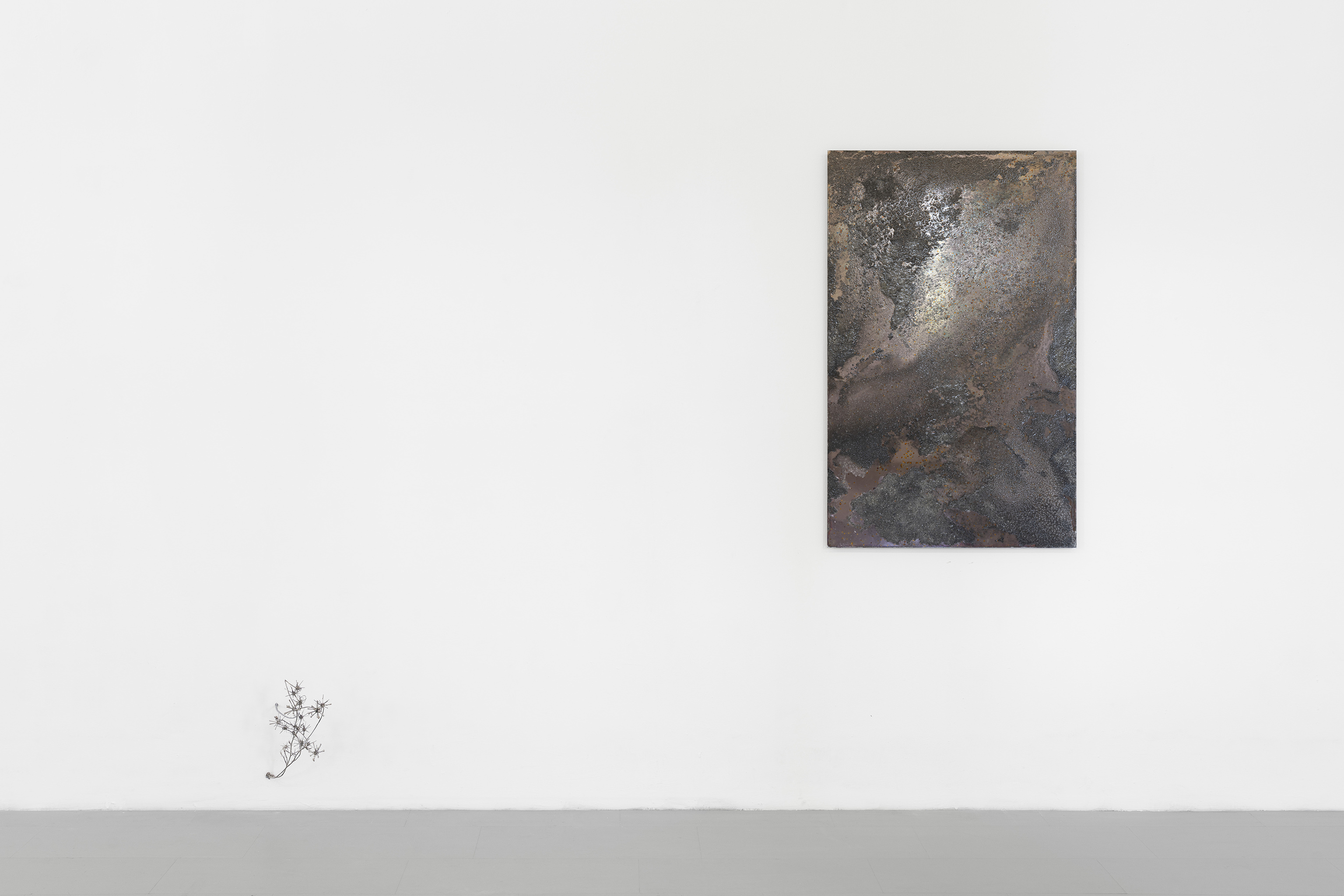 Lucia Cristiani, Spiny galaxy, 2025.  Galvanised silver thistles, aluminium, 30x20x35 cm. Lucia Cristiani, Life teems in the dark, 2025. Etched mirror, sea salt, potassium, brown seaweed, 77x123 cm. Courtesy of artist and La Rada. Ph Riccardo Giancola