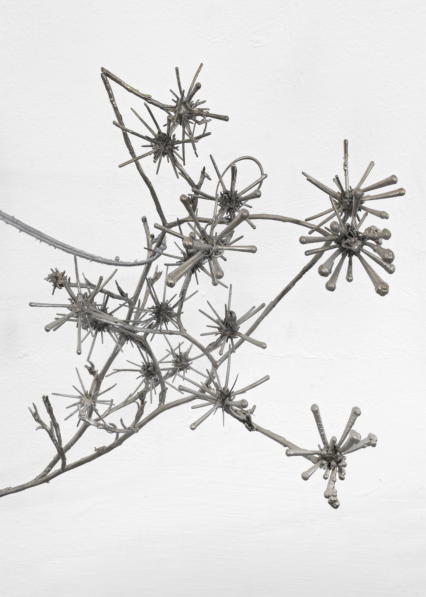 Detail of Lucia Cristiani, Spiny galaxy, 2025. Galvanised silver thistles, aluminium, 30x20x35 cm. Courtesy of the Artist and La Rada, Locarno. Photography by Riccardo Giancola