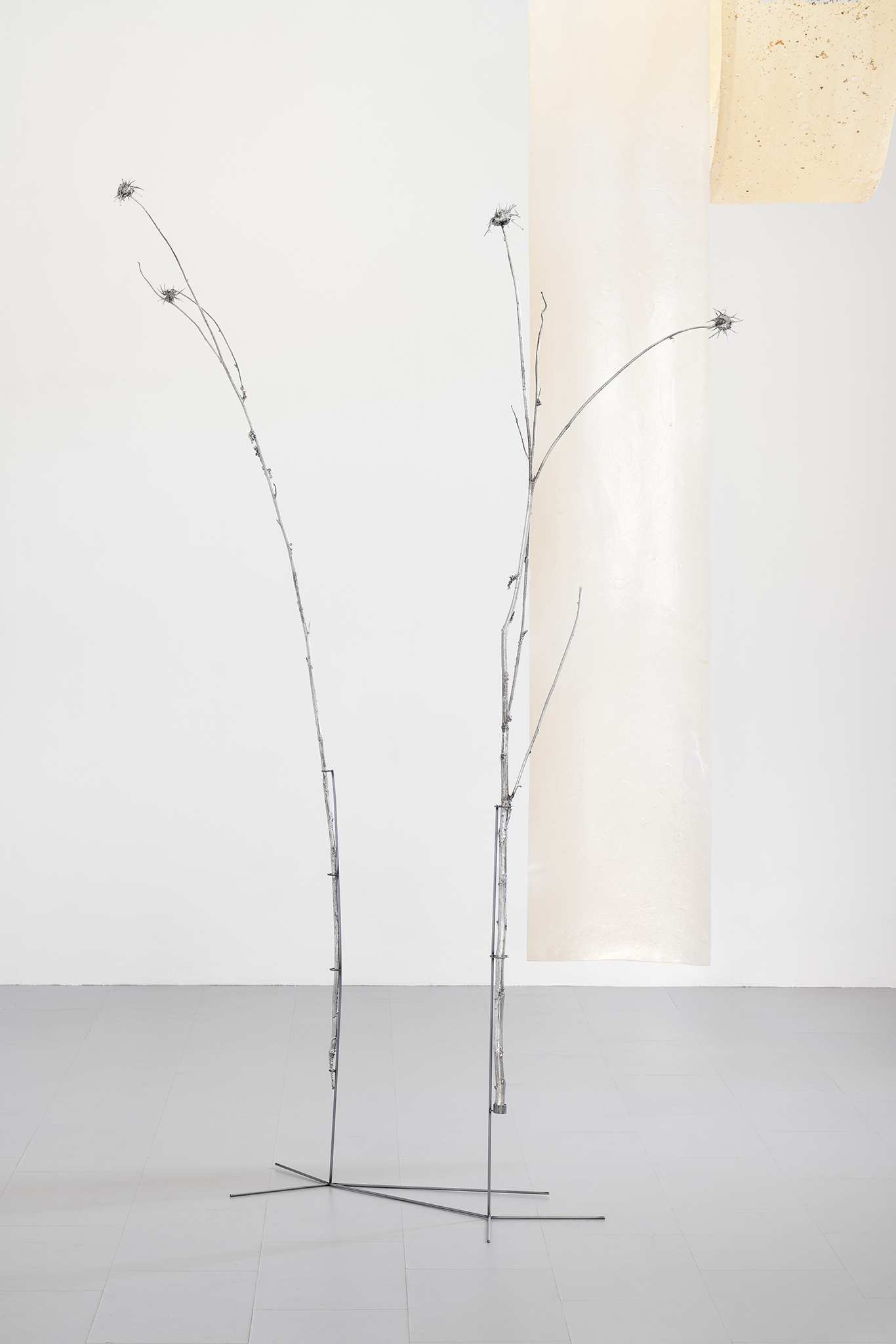 Lucia Cristiani, Single Stem, 2023. Galvanised silver thistles, iron, 220x72x40cm, 200x72x60cm. Detail of Lucia Cristiani, Dense, 2025. bioplastics, Sargassum seaweed, iron, variable dimensions. Ph Riccardo Giancola