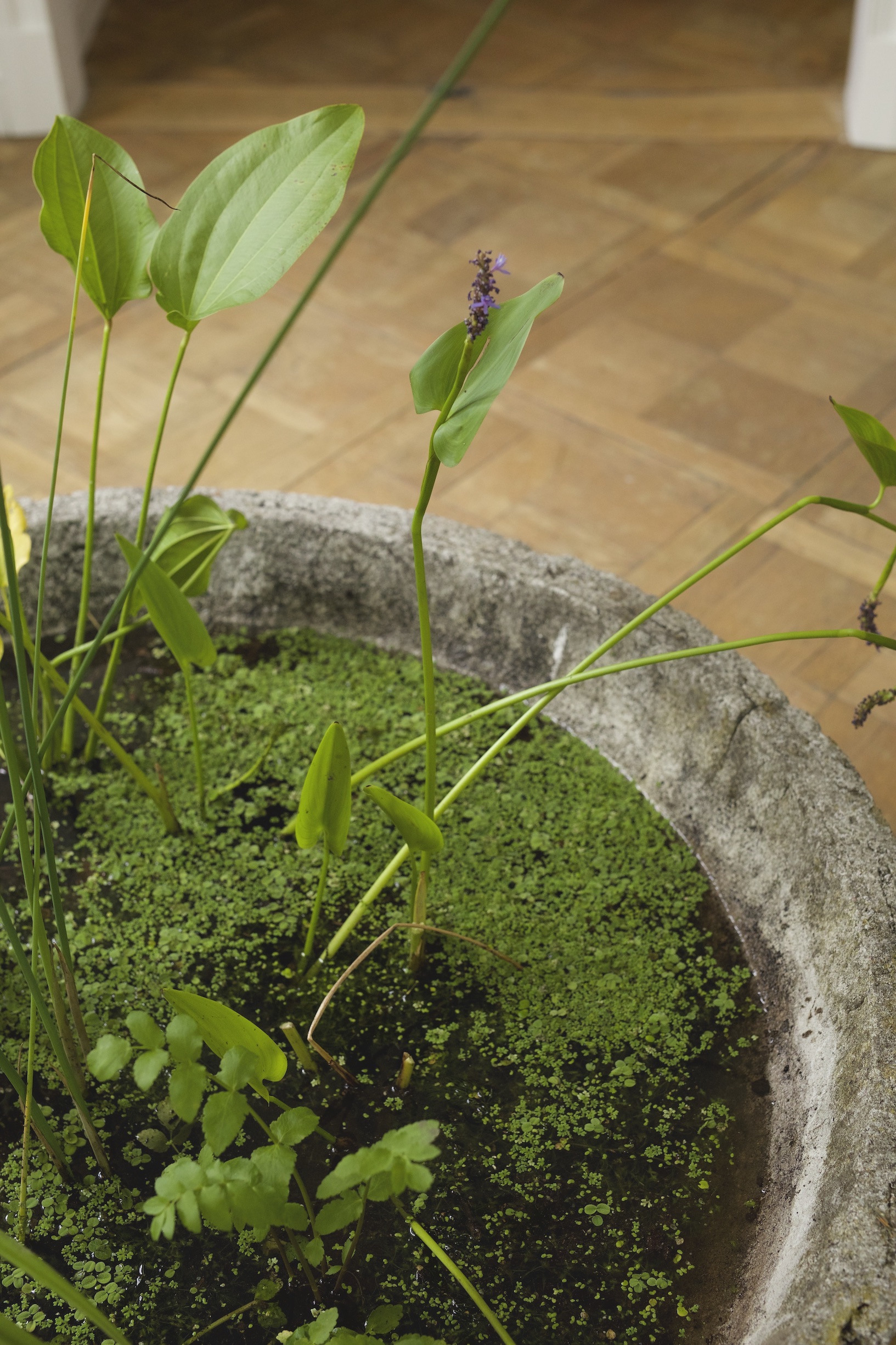 “Inner Sun”, exhibition view, photo: bliss gallery