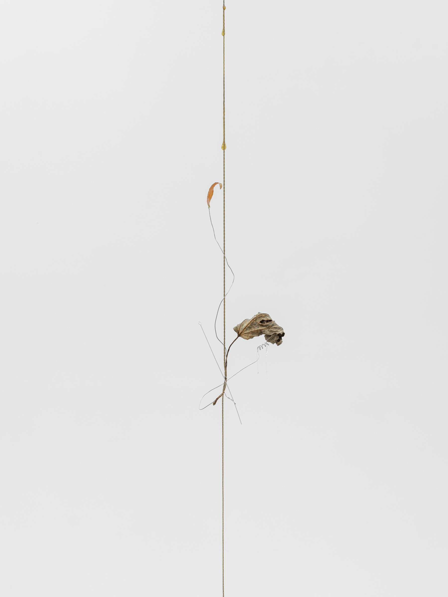 Detail, Kirill Savchenkov, Essay W: at the mercy of all its errors, 2025, Metal, HMA, aluminium, plant, 248 x 12 x 9 cm, 97 5/8 x 4 3/4 x 3 1/2 inches - Courtesy the artist and Galerie Allen, Paris © Grégory Copitet