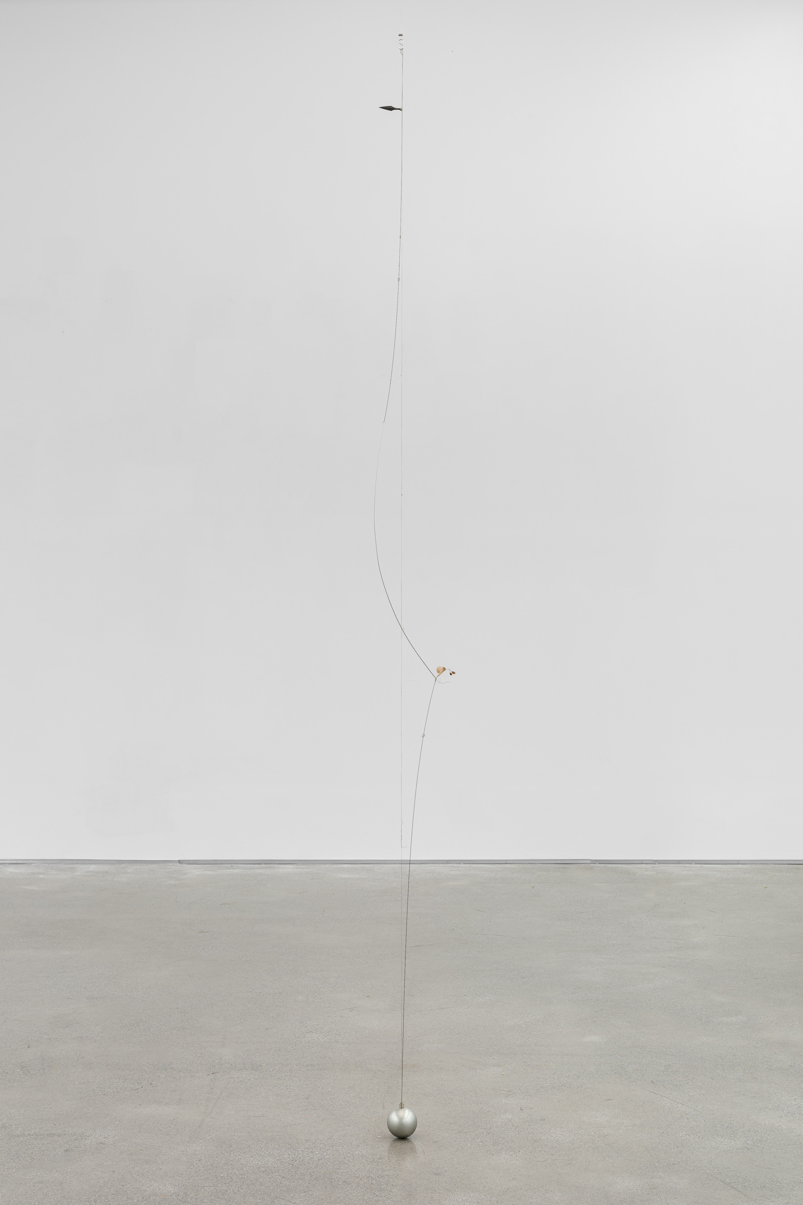 Kirill Savchenkov, Essay O: Evaporator Flux, 2025, Stainless steel, aluminum, magnets, plant, 250 x 24 x 8 cm, 98 3/8 x 9 1/2 x 3 1/8 inches - Courtesy the artist and Galerie Allen, Paris © Grégory Copitet 