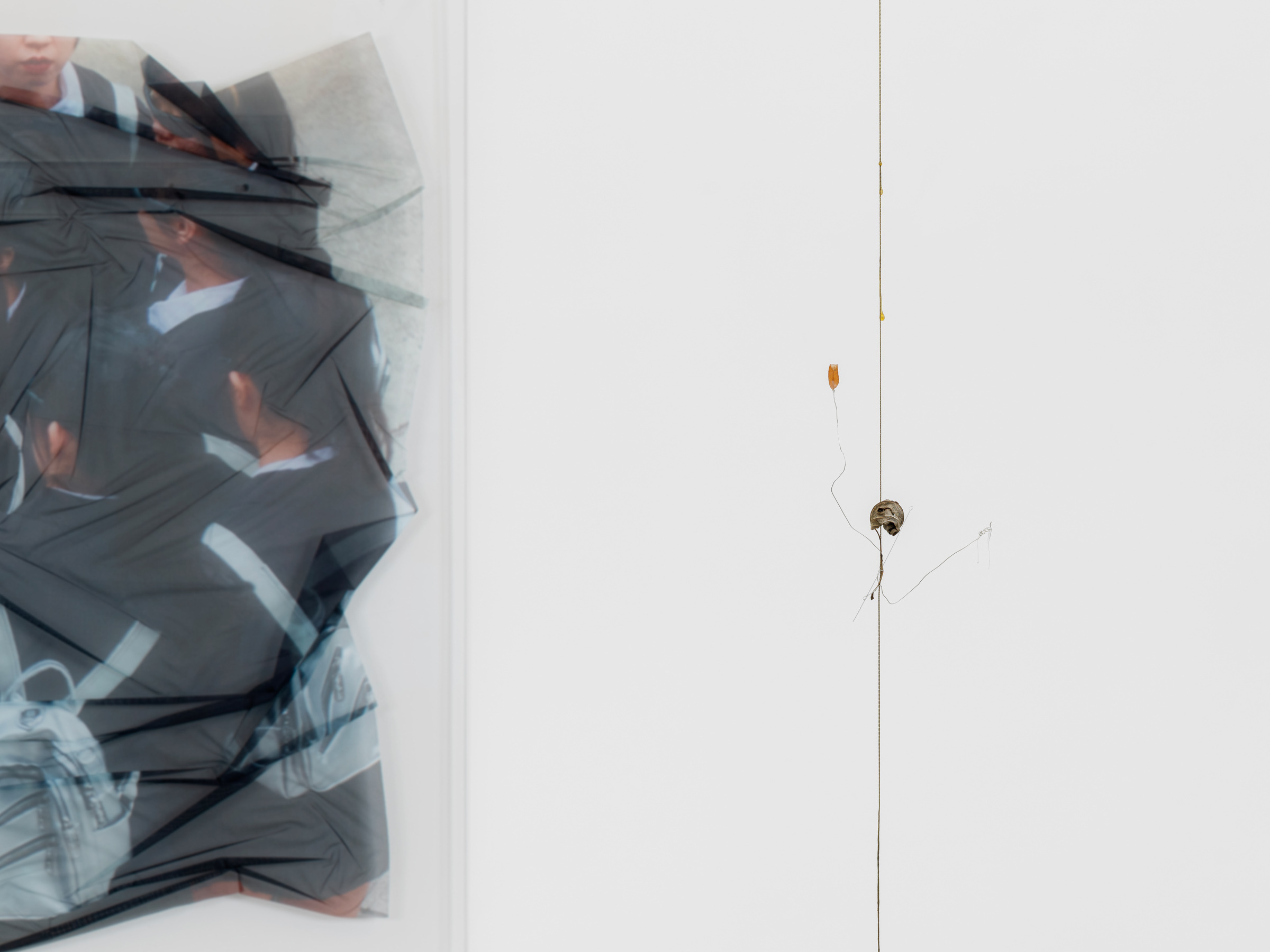 Group show « Props » curated by Marion Coindeau, With Uri Aran, Diane Dal-Pra, Tetsumi Kudō, Shuang Li, Liz Magor and Kirill Savchenkov, Derouillon, Paris, 2025 - Courtesy of the artists and Derouillon, Paris © Grégory Copitet