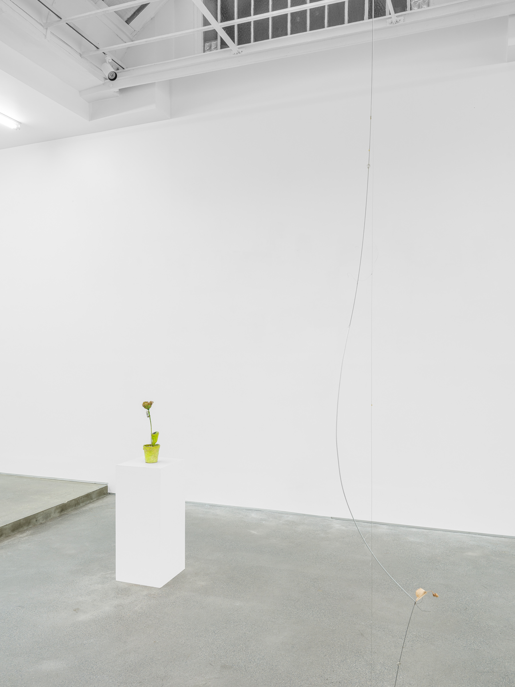 Group show « Props » curated by Marion Coindeau, With Uri Aran, Diane Dal-Pra, Tetsumi Kudō, Shuang Li, Liz Magor and Kirill Savchenkov, Derouillon, Paris, 2025 - Courtesy of the artists and Derouillon, Paris © Grégory Copitet