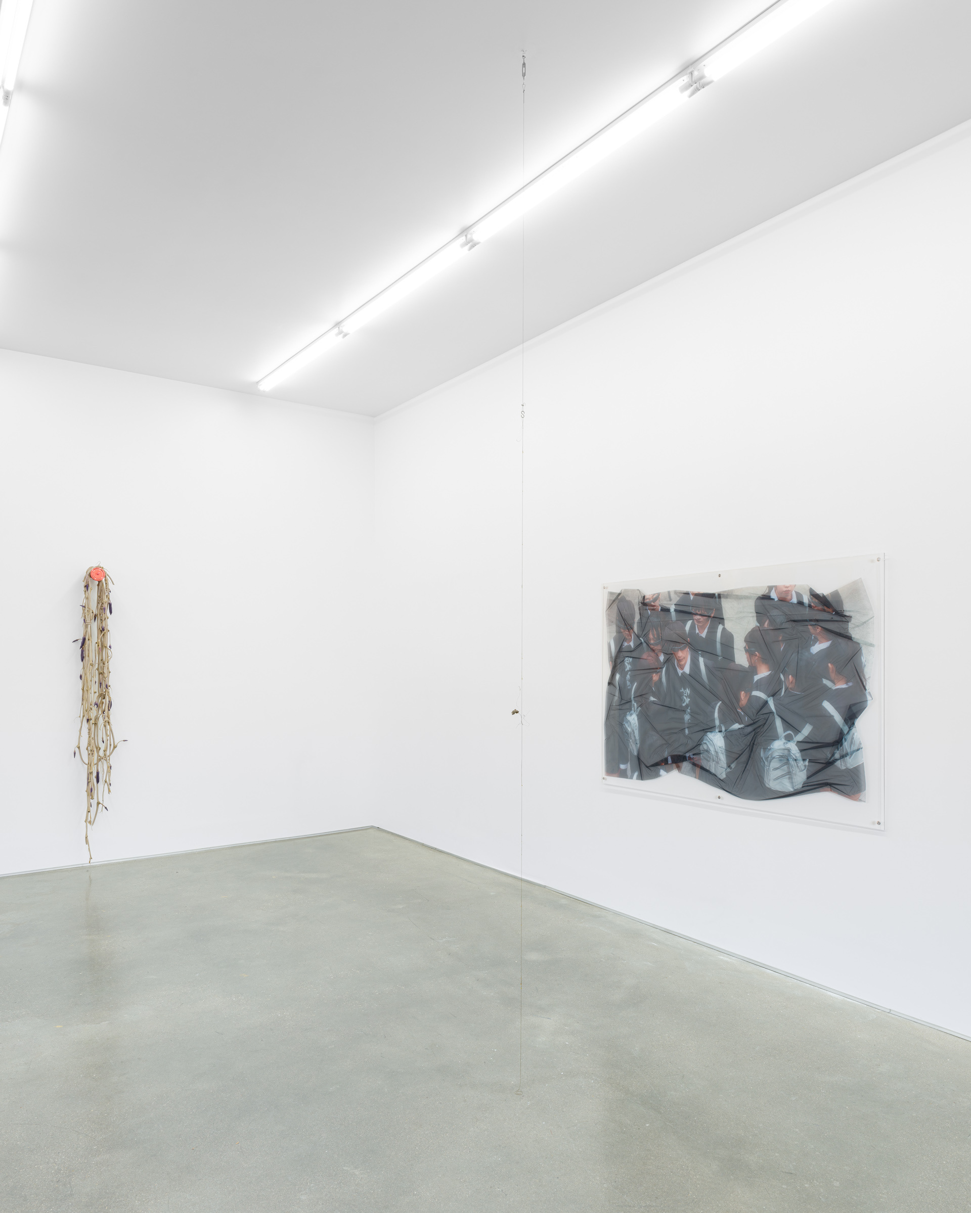 Group show « Props » curated by Marion Coindeau, With Uri Aran, Diane Dal-Pra, Tetsumi Kudō, Shuang Li, Liz Magor and Kirill Savchenkov, Derouillon, Paris, 2025 - Courtesy of the artists and Derouillon, Paris © Grégory Copitet