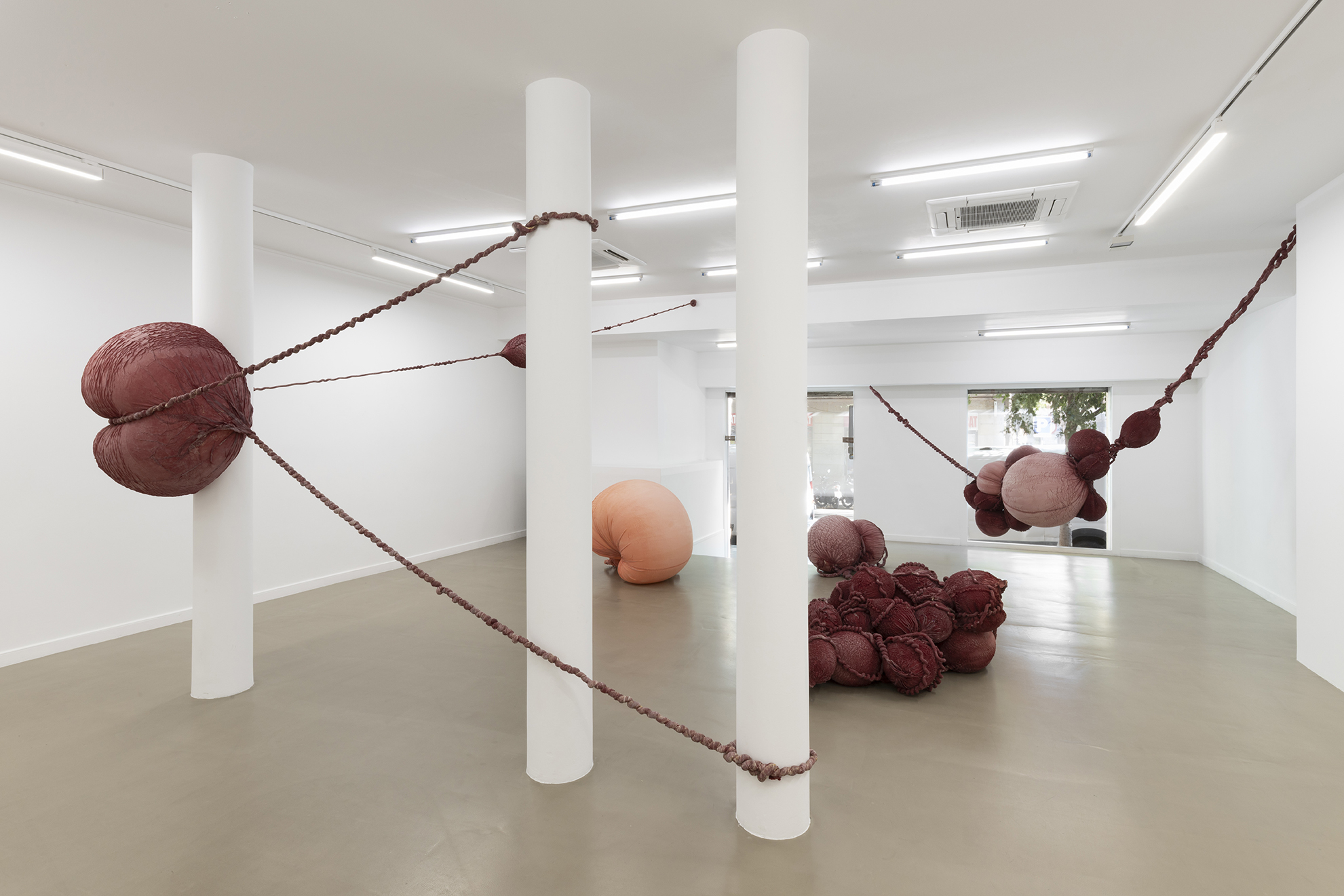 Exhibition view, Swell, Eva Fàbregas, Bombonprojects (2025)