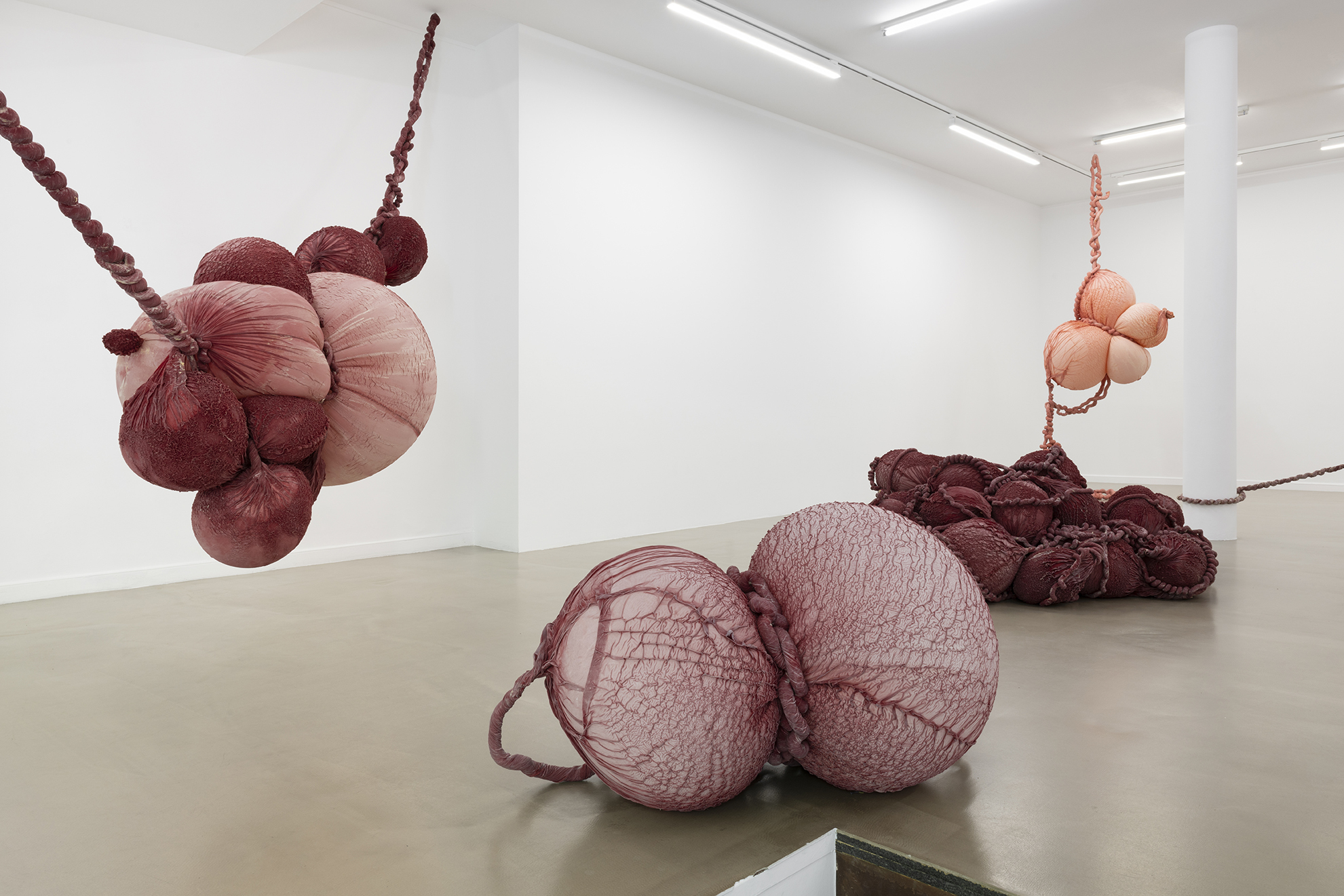 Exhibition view, Swell, Eva Fàbregas, Bombonprojects (2025)