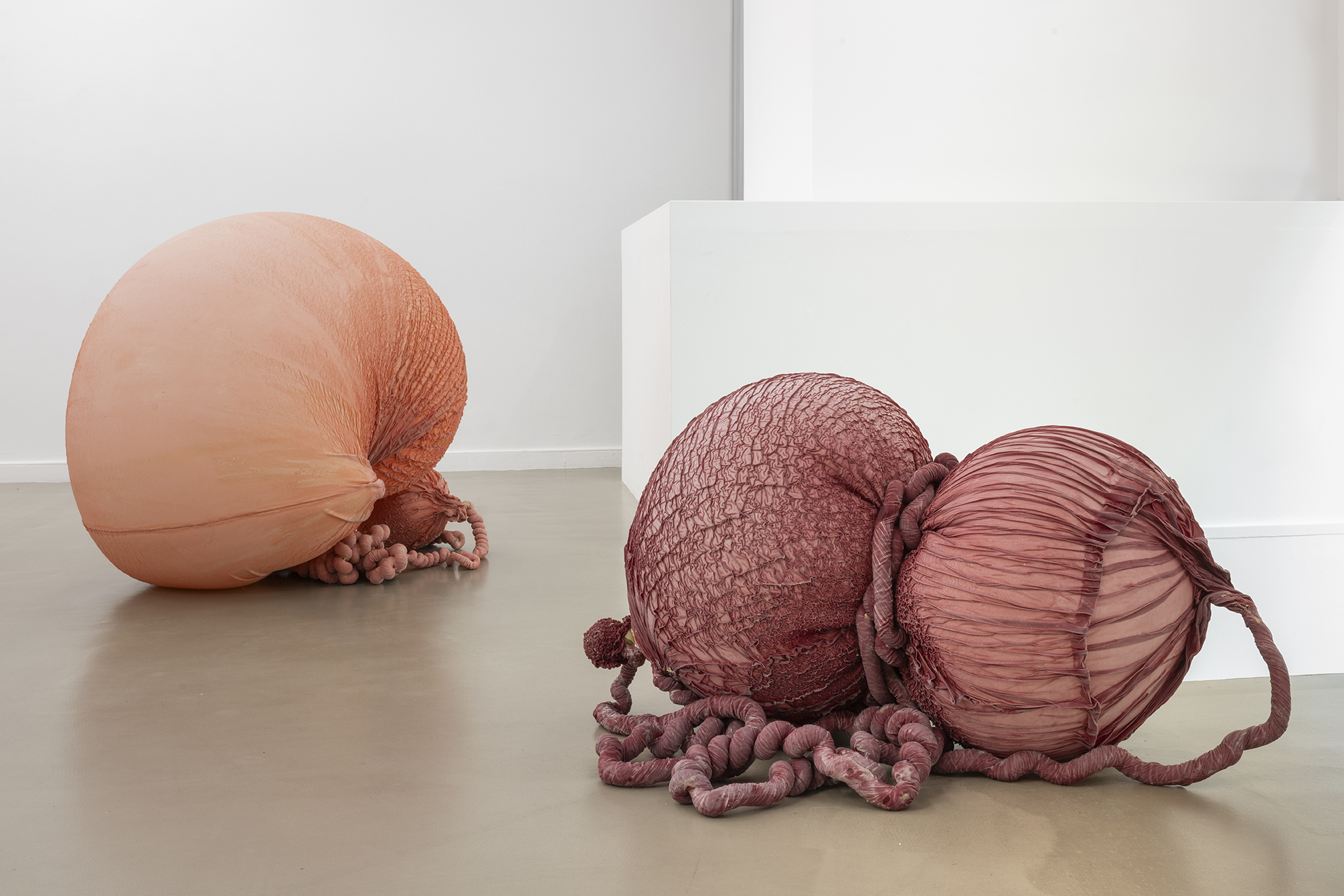 Exhibition view, Swell, Eva Fàbregas, Bombonprojects (2025)