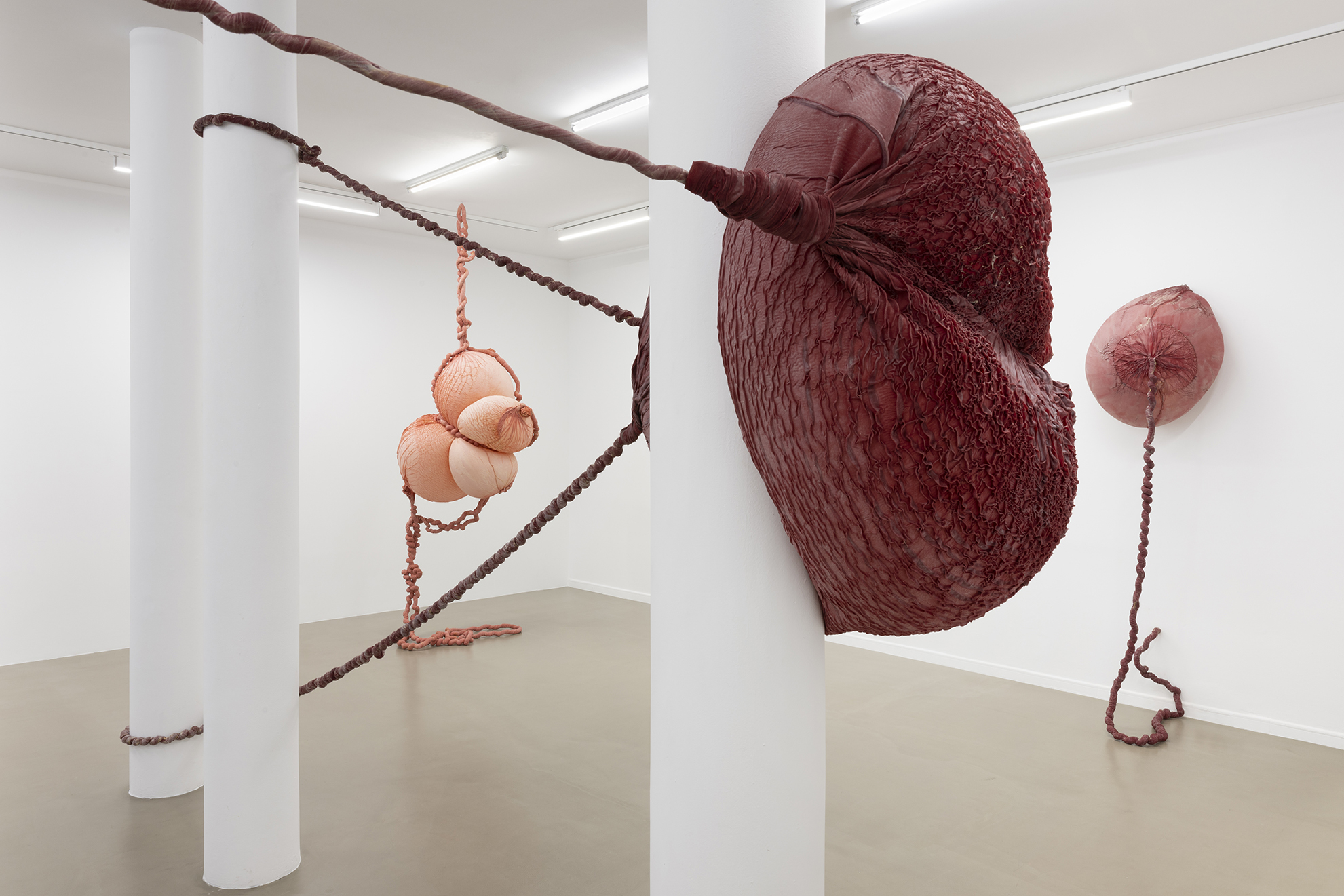 Exhibition view, Swell, Eva Fàbregas, Bombonprojects (2025)