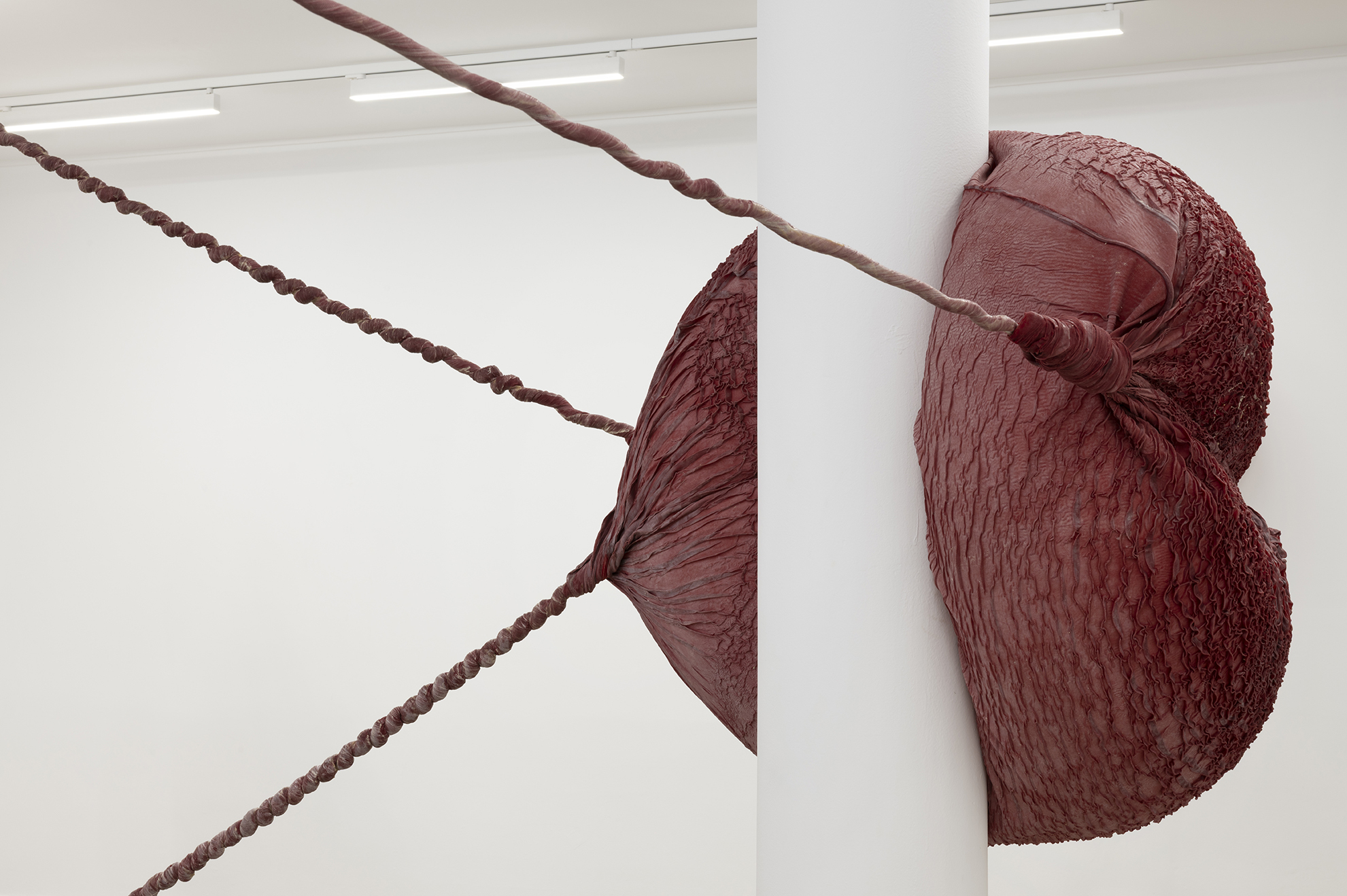 Exudate #75 Eva Fàbregas Elastic mesh air and latex 320x500x100cm