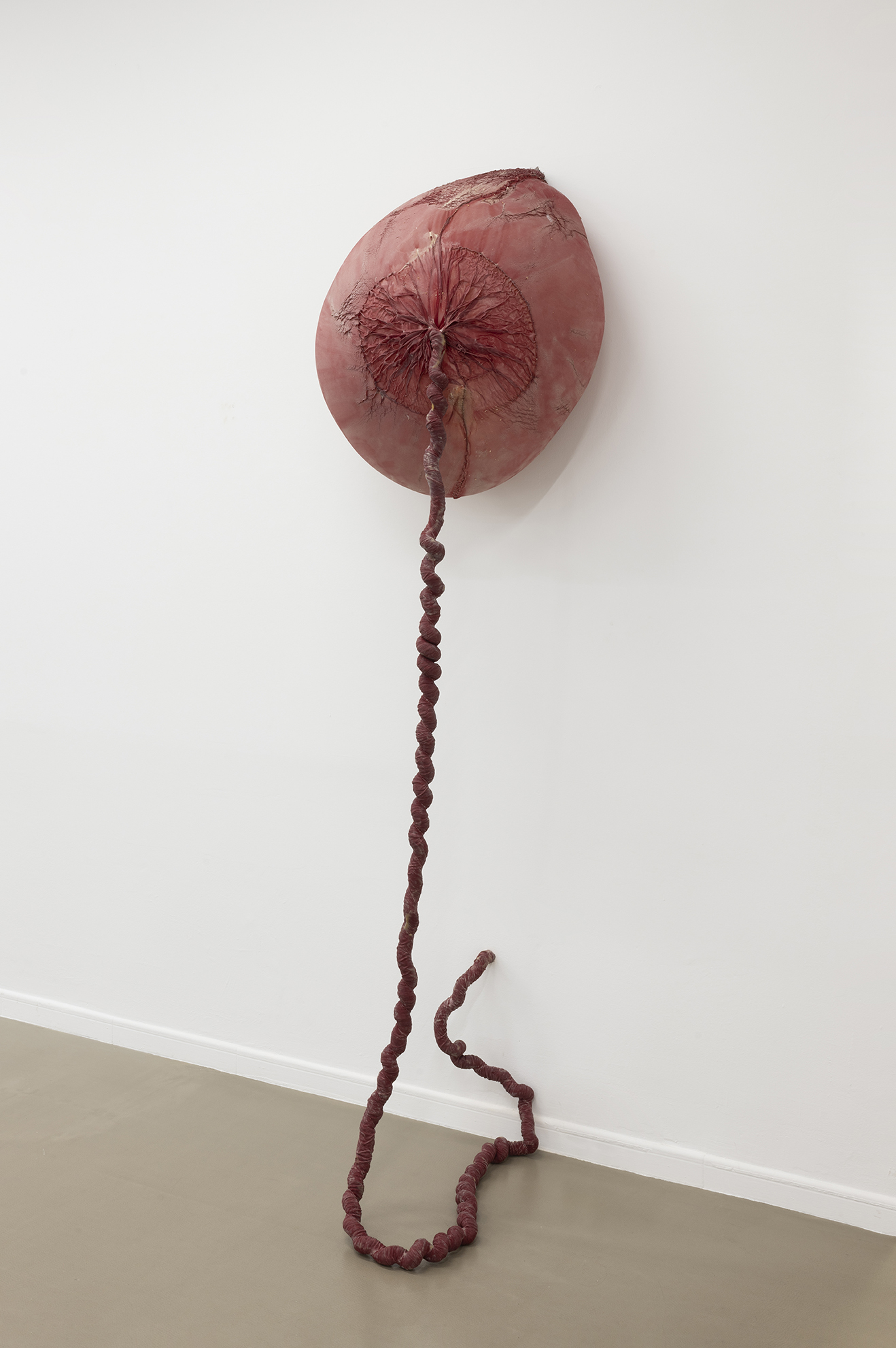 Exudate #76 Eva Fàbregas Elastic mesh air and latex 330x110x80cm