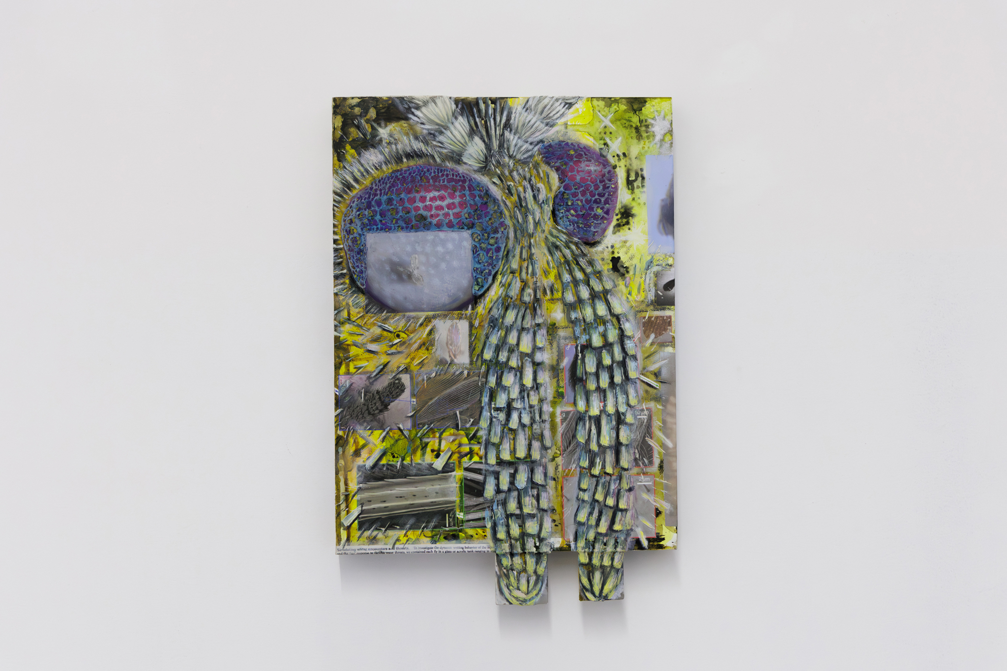 Jonathan Penca, Clogmia, 2025, gouache, acrylic resin, gesso, ink, makeup powder and paper on wood, 44 x 30 x 5 cm