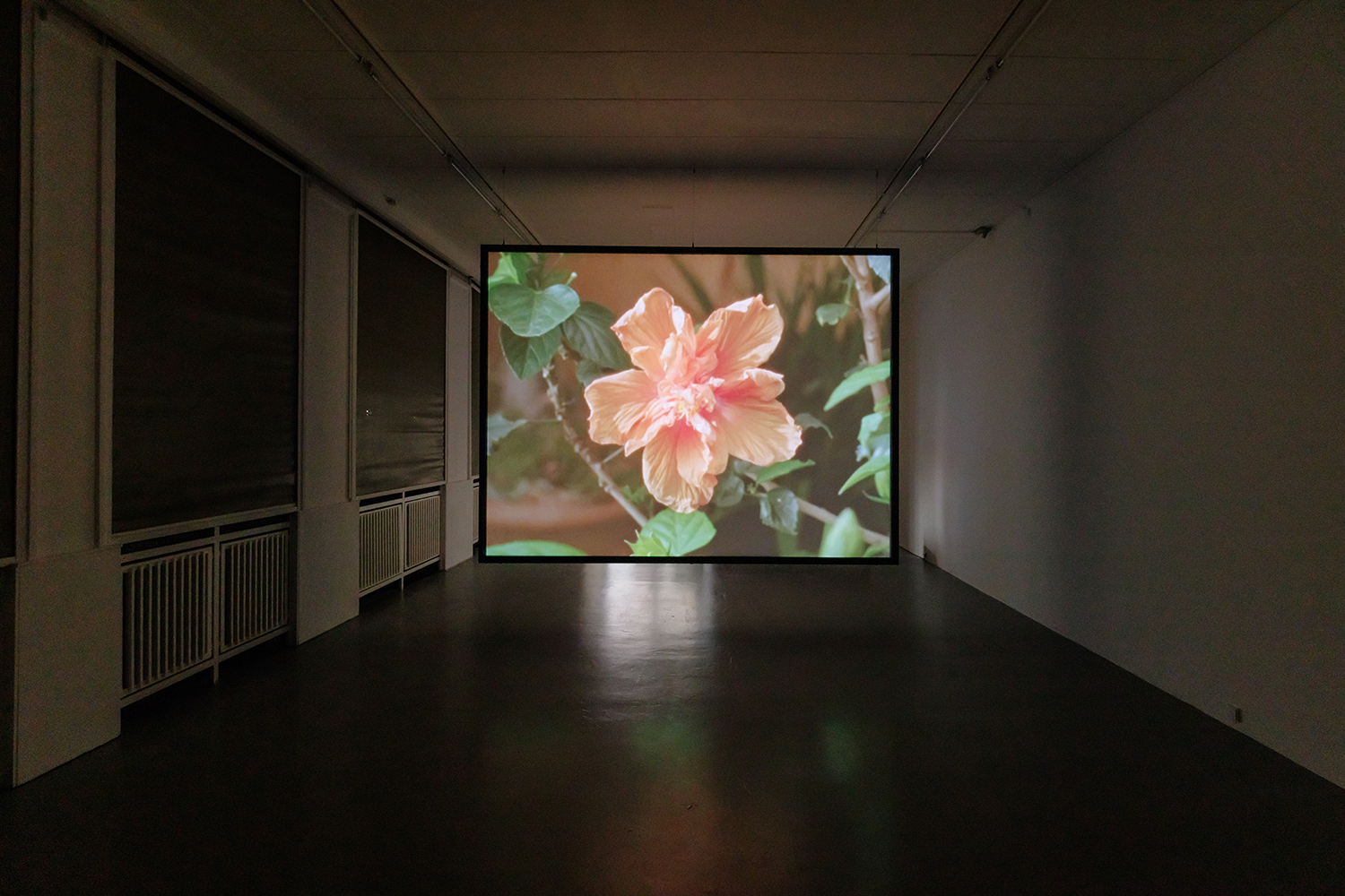 Miryam Charles - Atlas for the Disappeared, Ausstellungsansicht, 2025 © basis e.V., Foto Bernd Euring