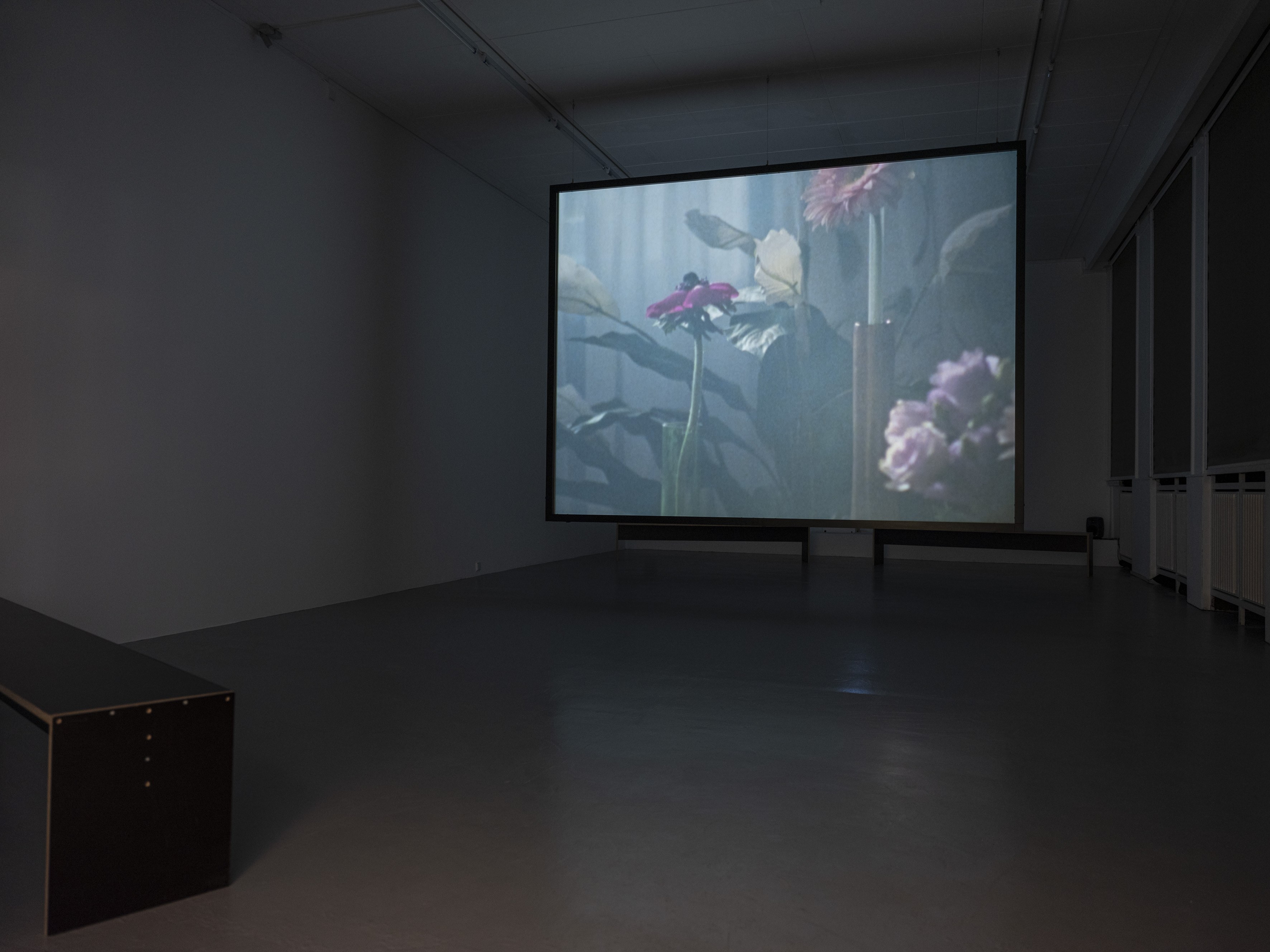 Miryam Charles - Atlas for the Disappeared, Ausstellungsansicht, 2025 © basis e.V., Foto: Angelika Zinzow