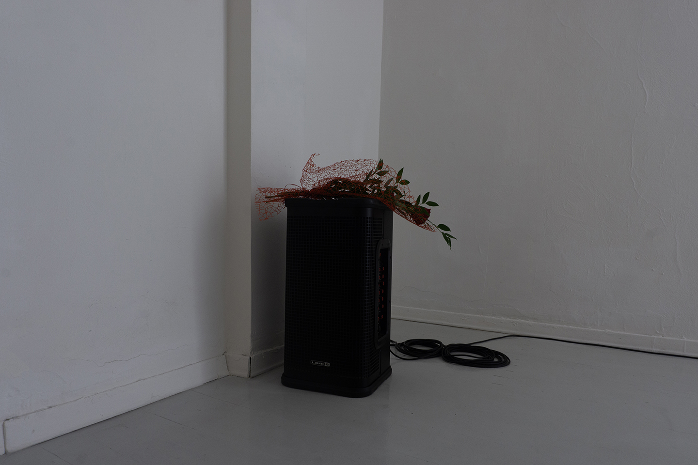 Will Krauland, The Expanding Domain, curated by Ilaria Monti, 2025, exhibition view, DISPLAY, Parma, IT