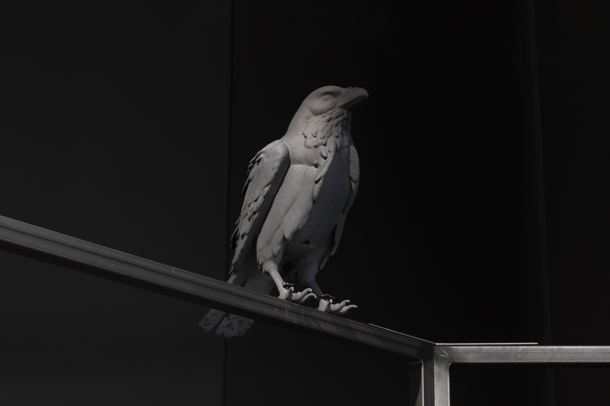 Corvid loops: what horror to awake at night, 2025. Detail.