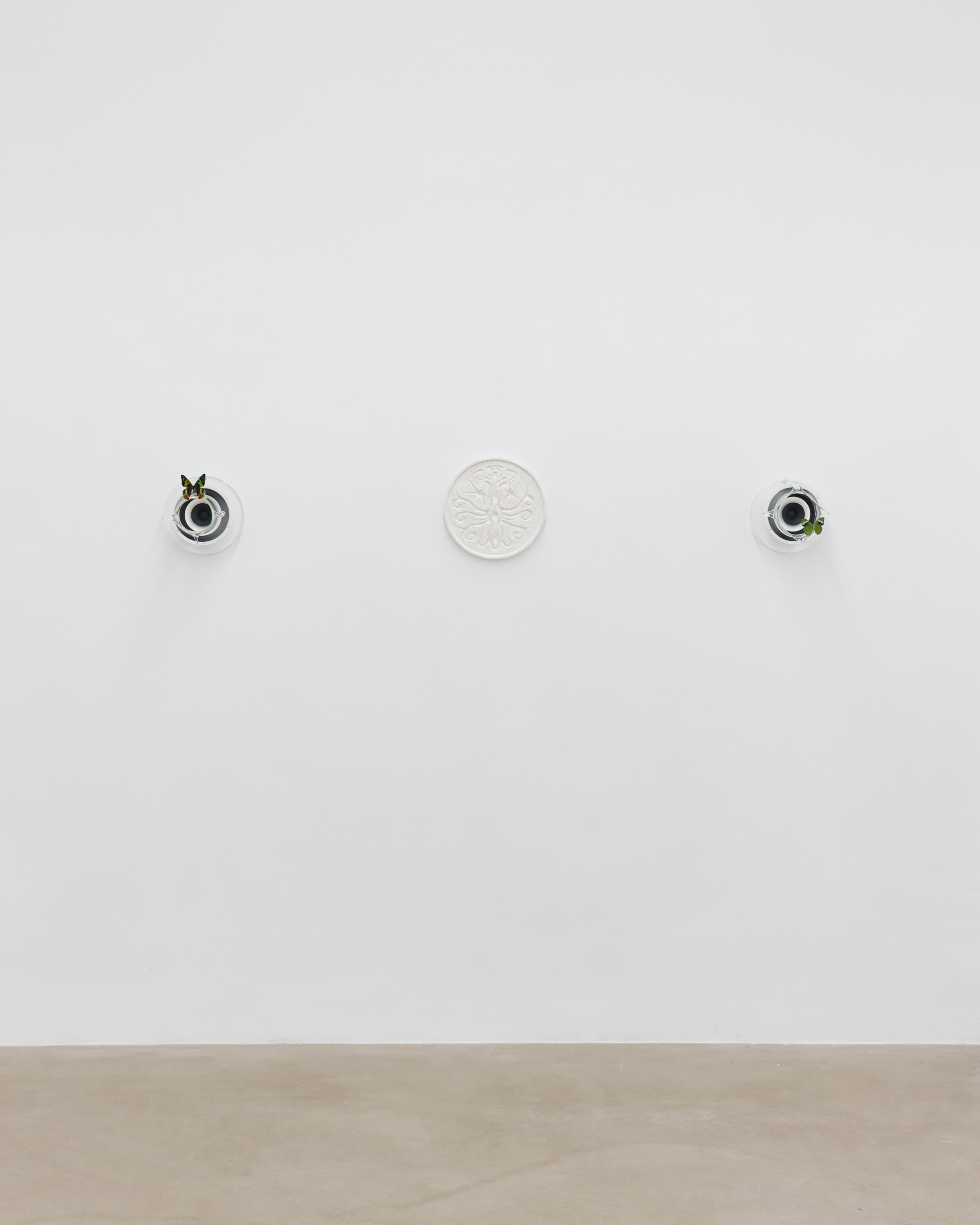 Come where the dream rests in the shell / fot. Tomasz Koszewnik © Gdansk City Gallery