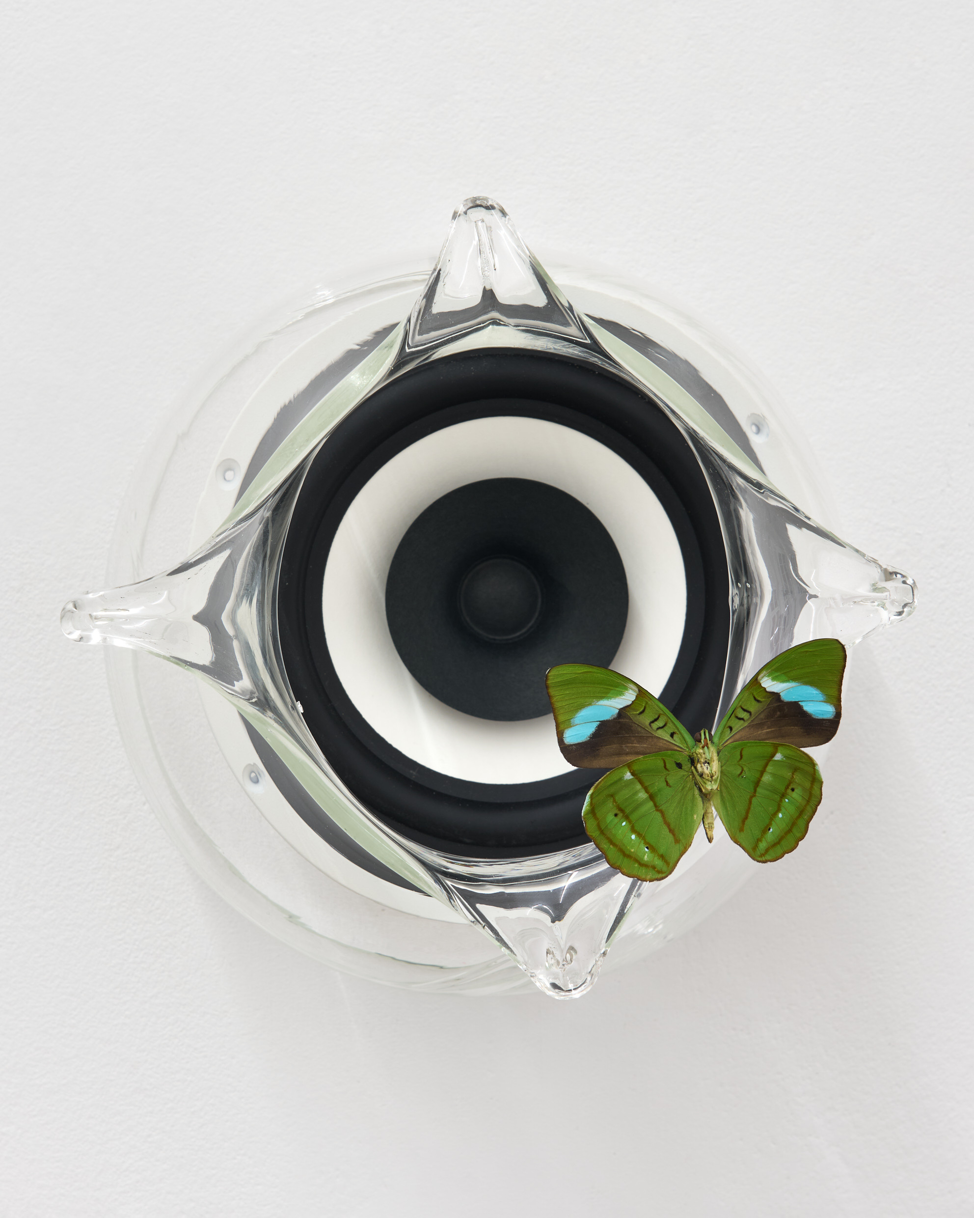 Come where the dream rests in the shell / fot. Tomasz Koszewnik © Gdansk City Gallery