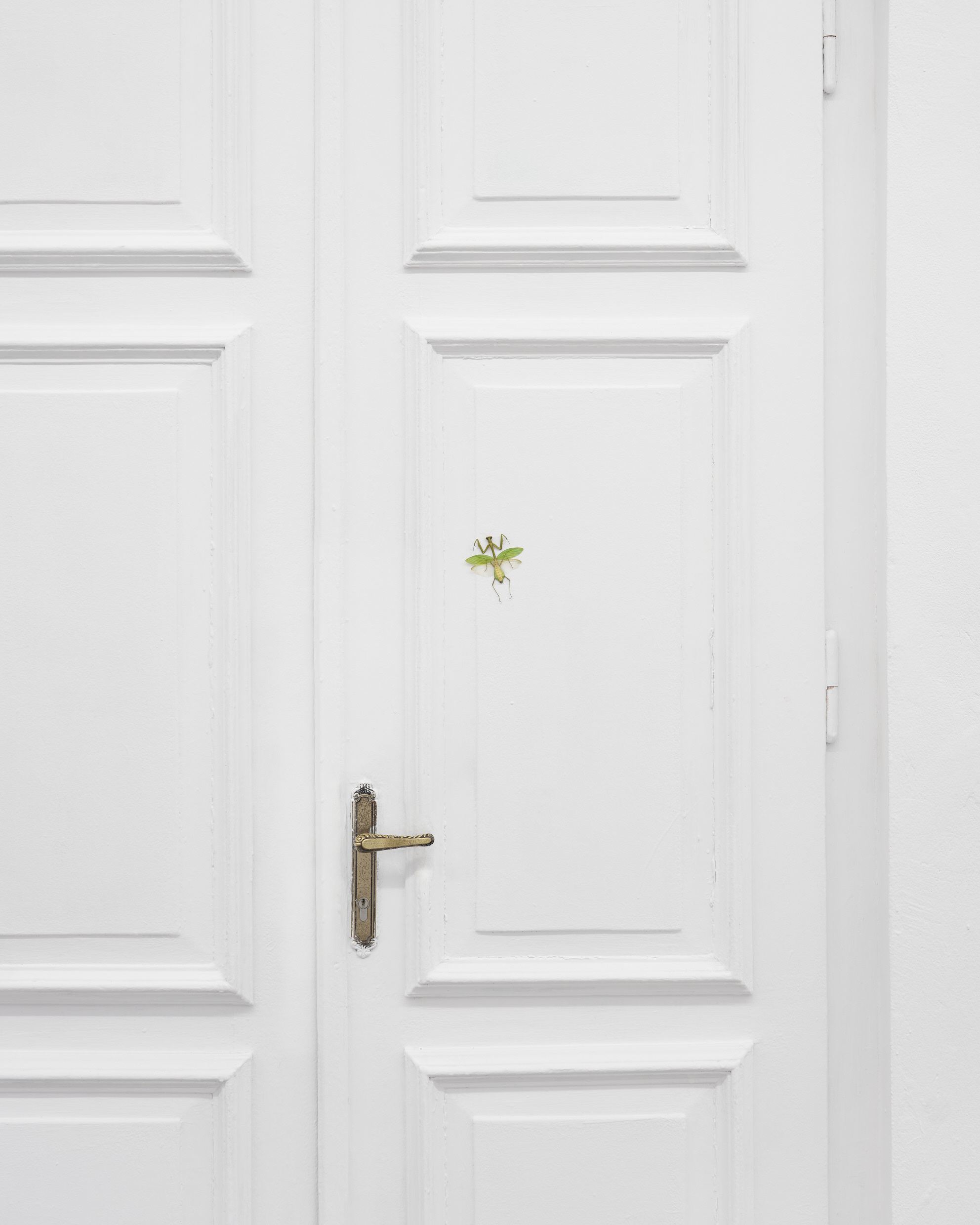 Come where the dream rests in the shell / fot. Tomasz Koszewnik © Gdansk City Gallery