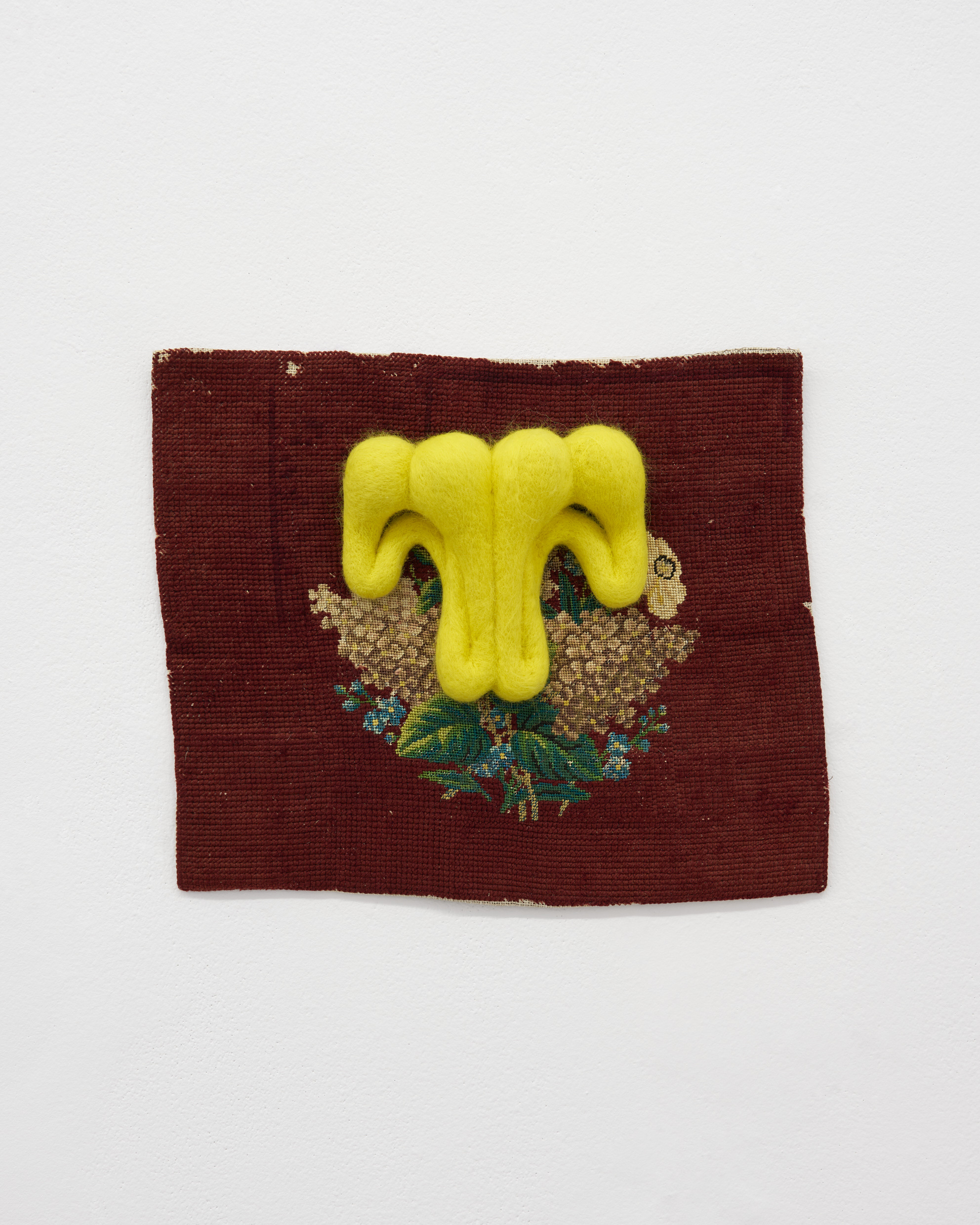 Come where the dream rests in the shell / fot. Tomasz Koszewnik © Gdansk City Gallery