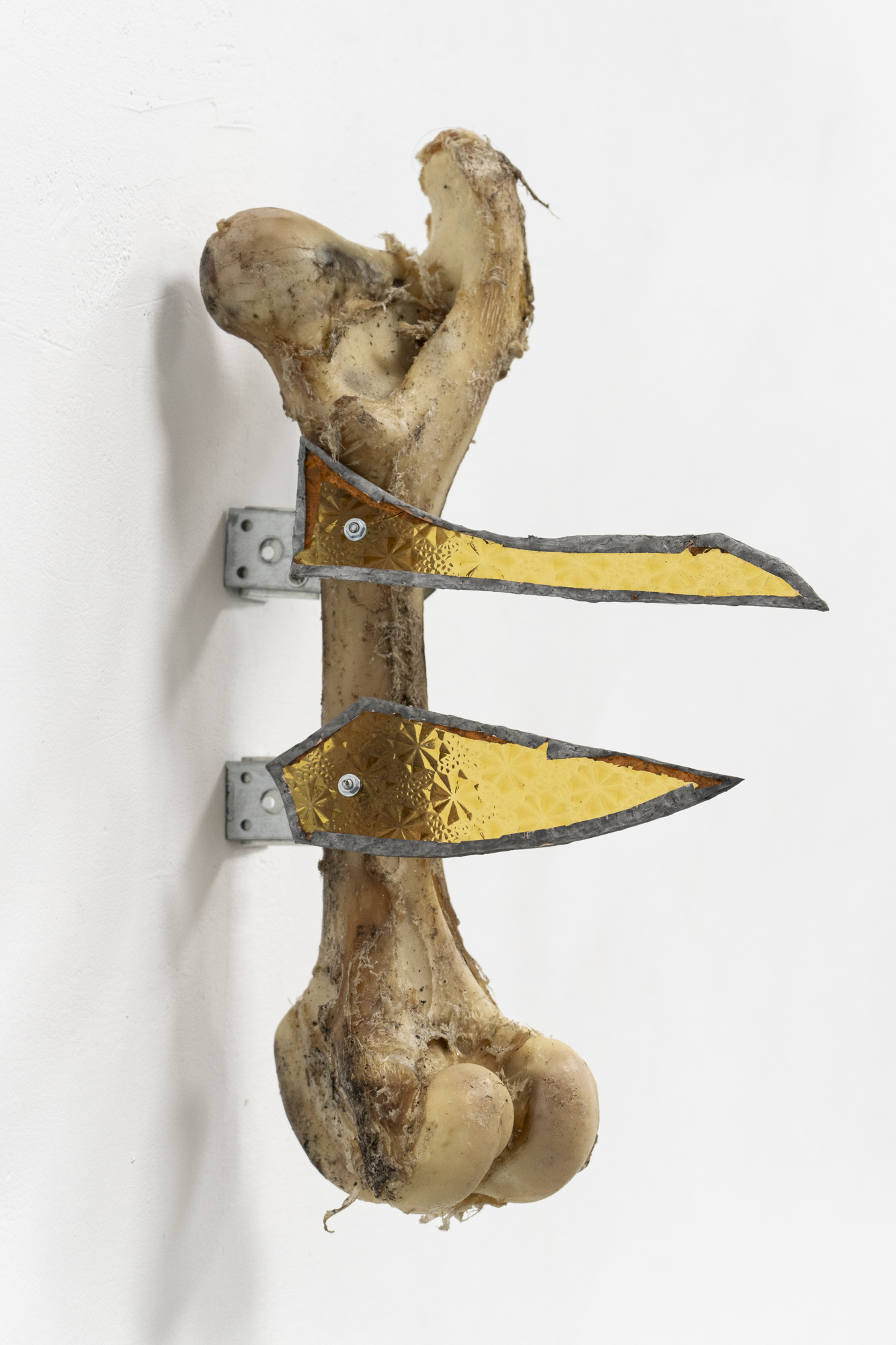 Mikołaj Sobótka, Ghost Rider, bone, pane, 30x50.5 cm, 2025, photo Michał Maliński