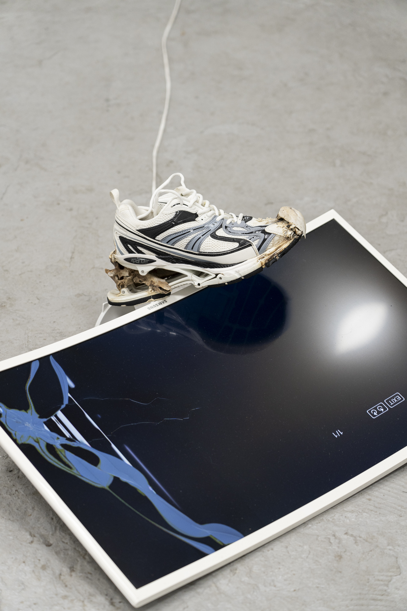 Marek Wodzisławski, X-Pander (Bionic Object), shoe, bones, LCD screen, 73x59 cm, 2025, photo Michał Maliński