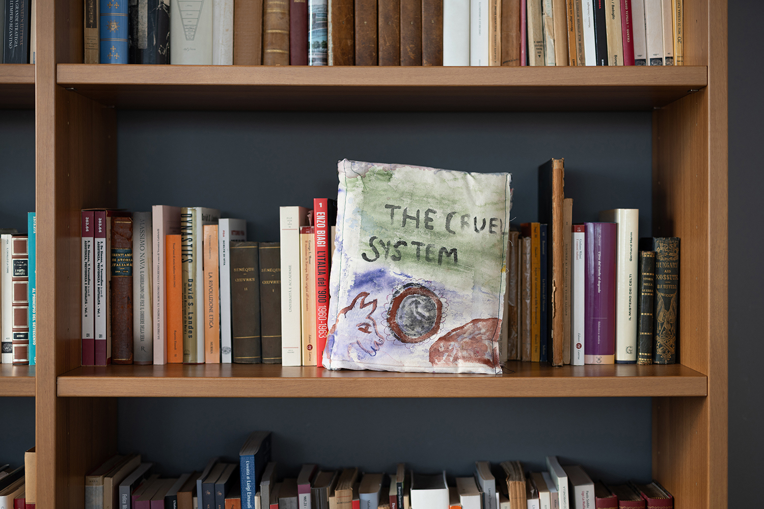 Alice Visentin The cruel system, 2025 soft book 30 x 26 cm