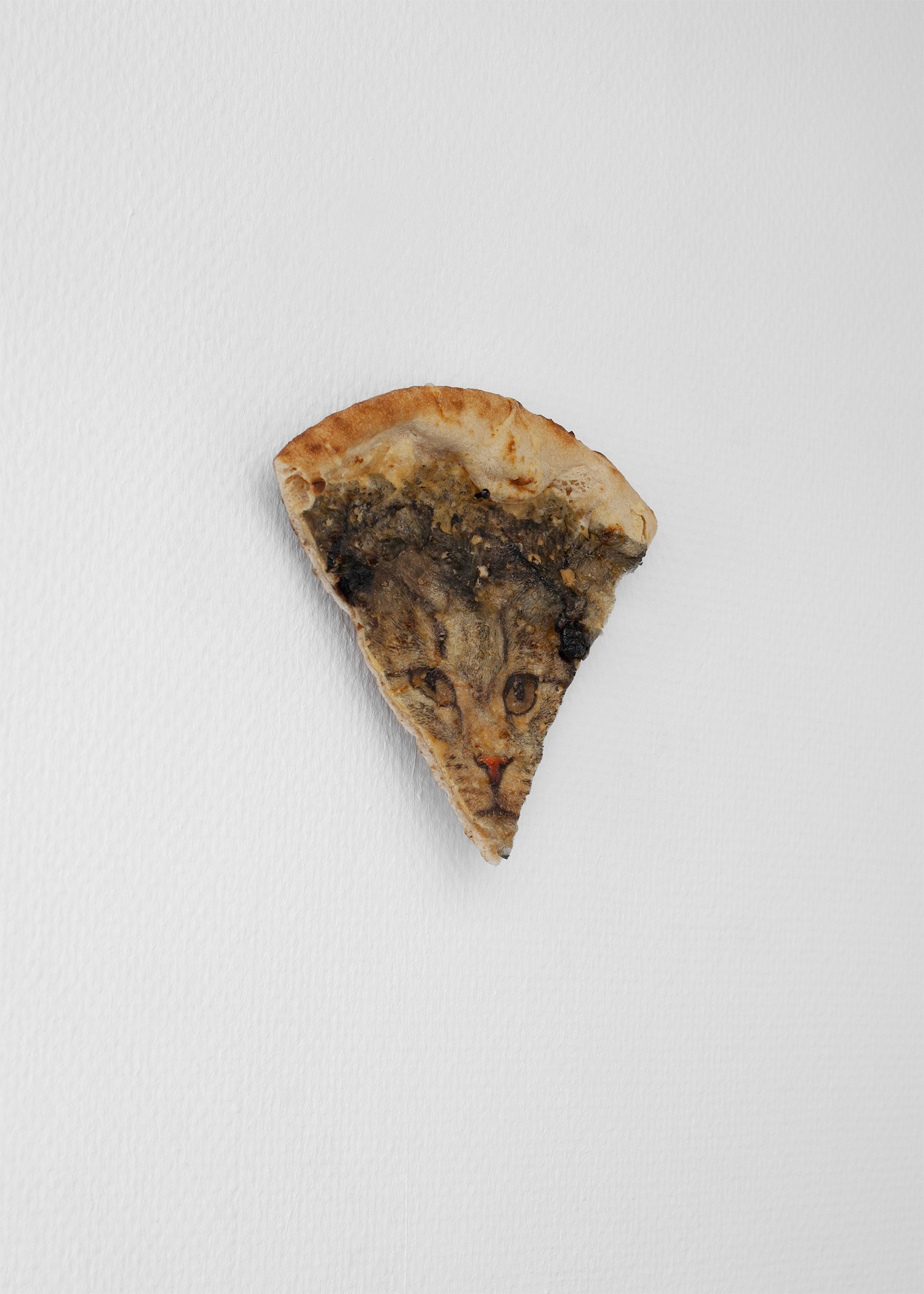 Marcos Uriondo, Pizzacats, 2022, print on pizza slice, 20 х 20 cm 