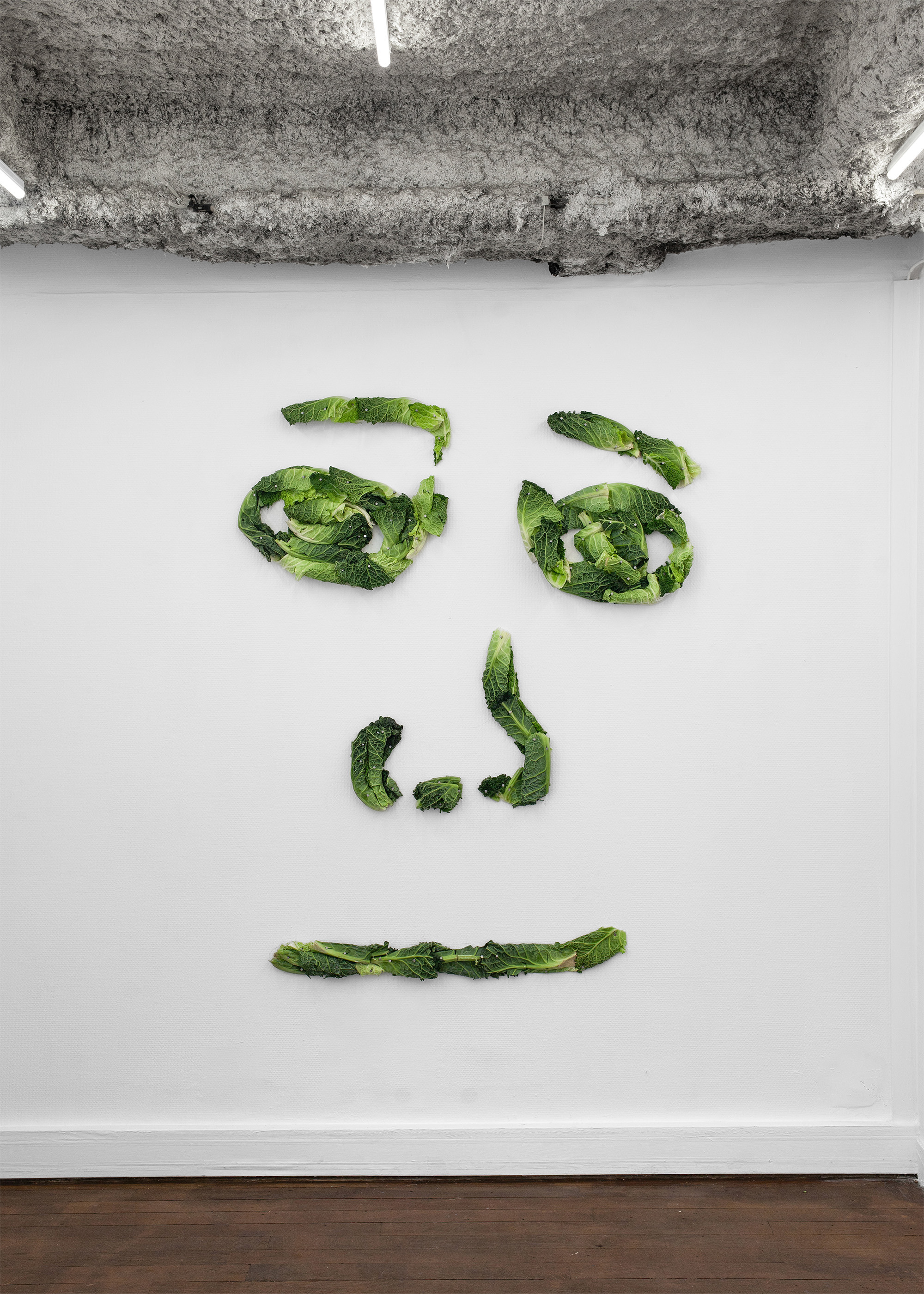 Tobi Keck, #shroomjak, 2025, Cabbages, nails, 145 x 115 cm 