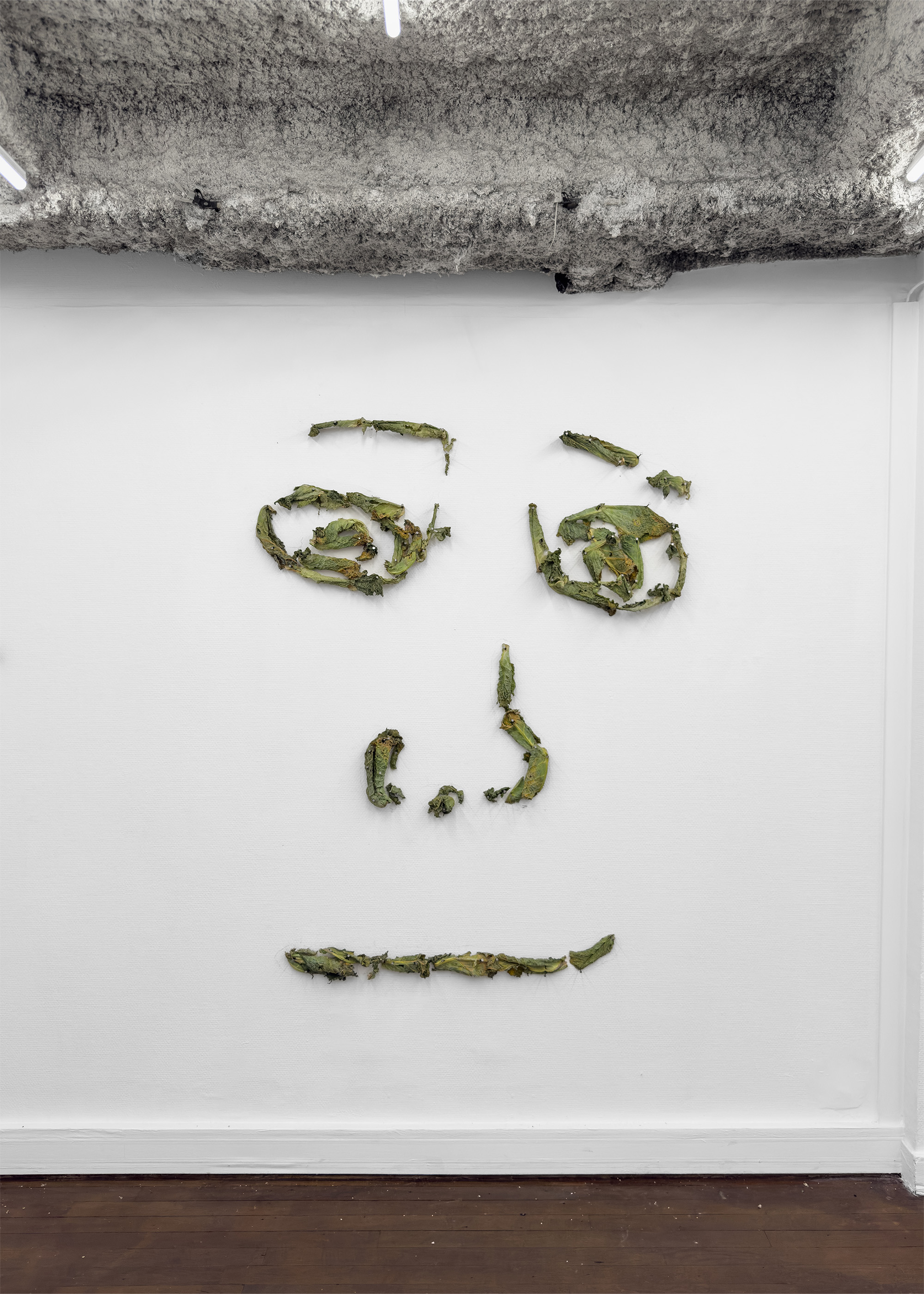 Tobi Keck, #shroomjak, 2025, Cabbages, nails, 145 x 115 cm 