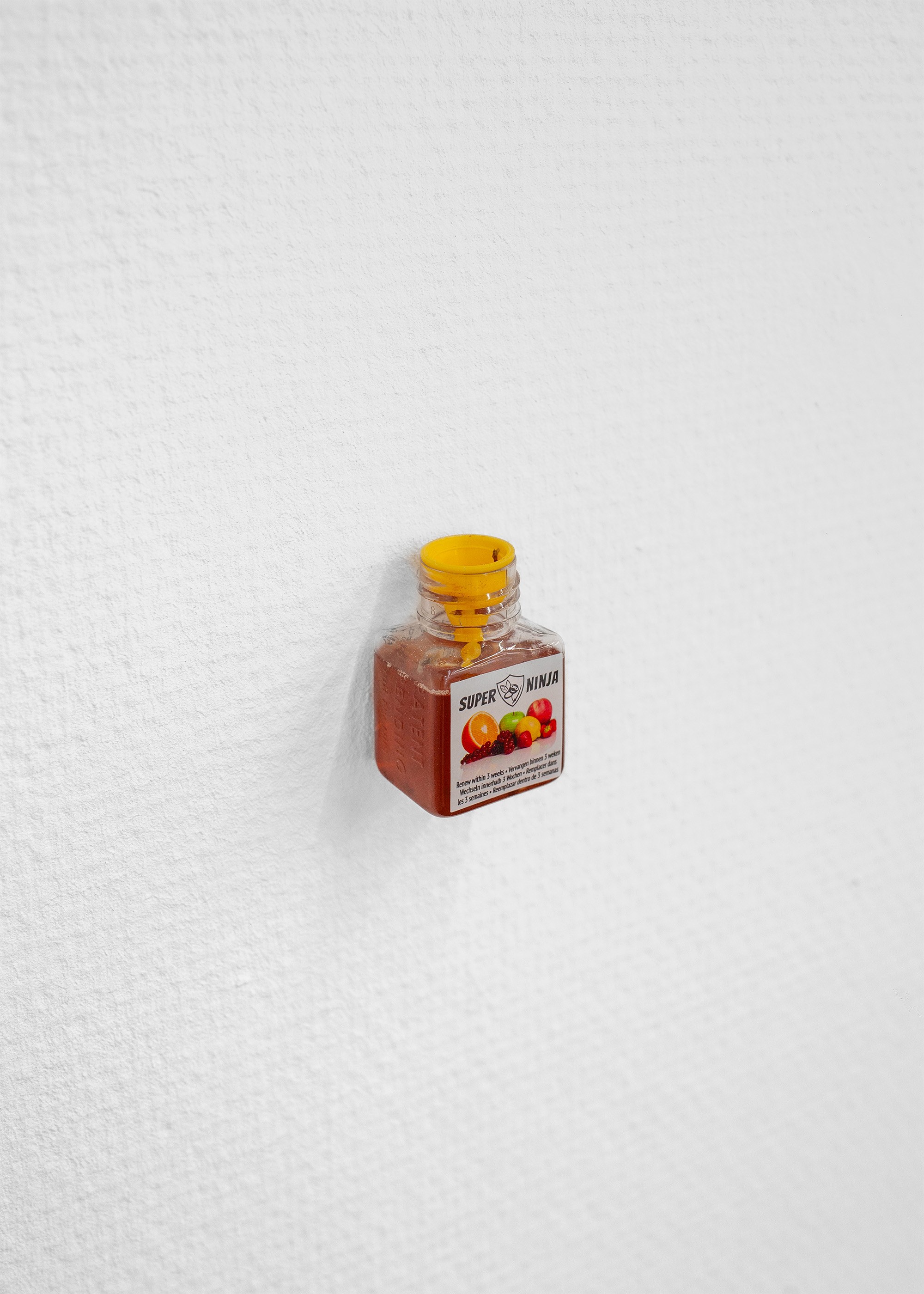 Perce Jerrom, Trap, 2025, Fruit fly traps, 3,5 x 5,5 x 3,5 cm 