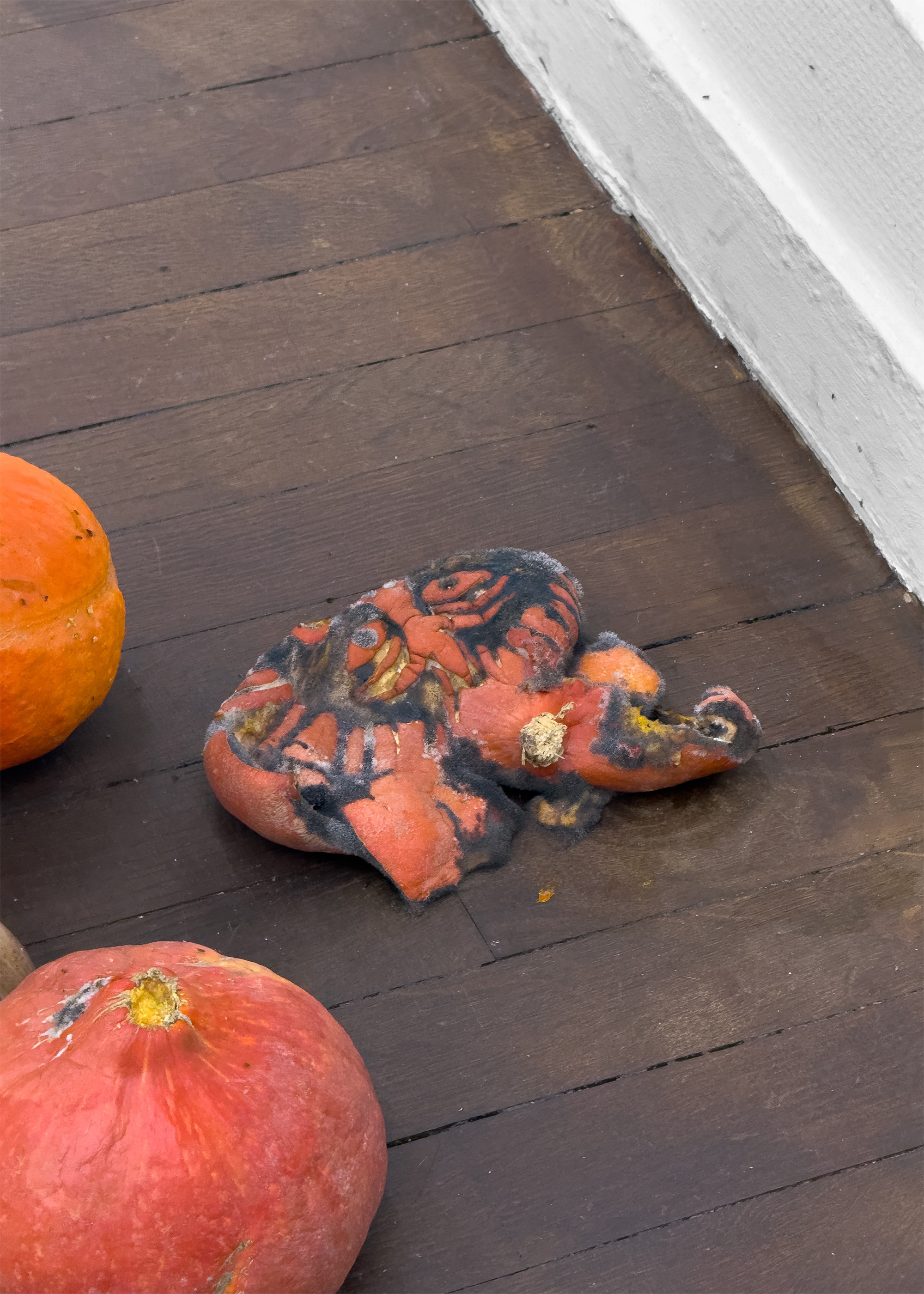 Ivan Volkov, Pumpkin man, 2025, Pumpkin Carving, 37 x 15 x 15 cm 