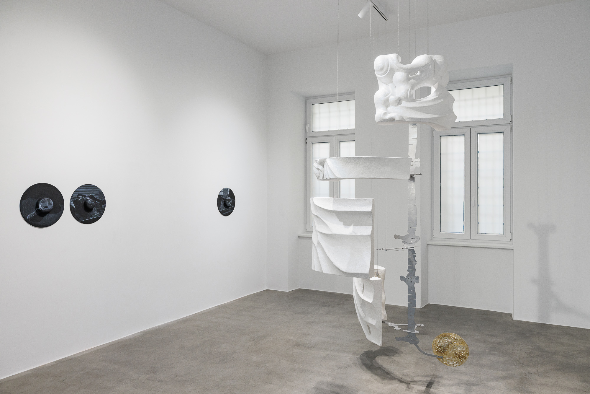 Installation view, METAMORPHOSIS, Melanie Ebenhoch & Paola Siri Renard, curated by Livia Klein, Sussudio, Vienna, 2025