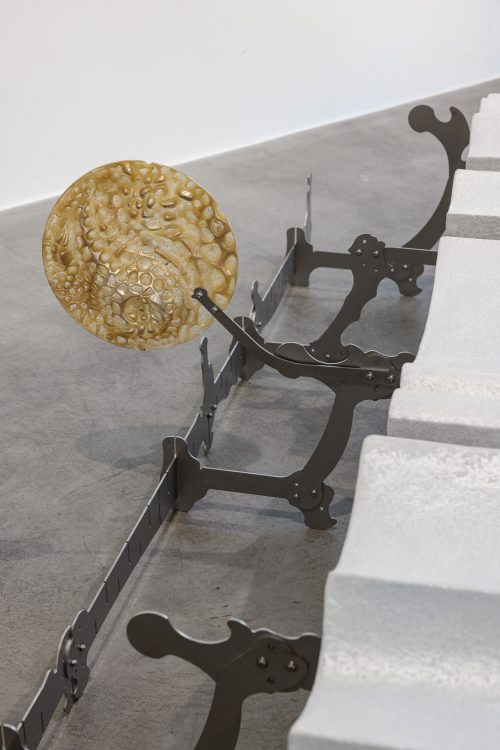 2025 Exh View Metamorphosis Sussudio Vienna 08