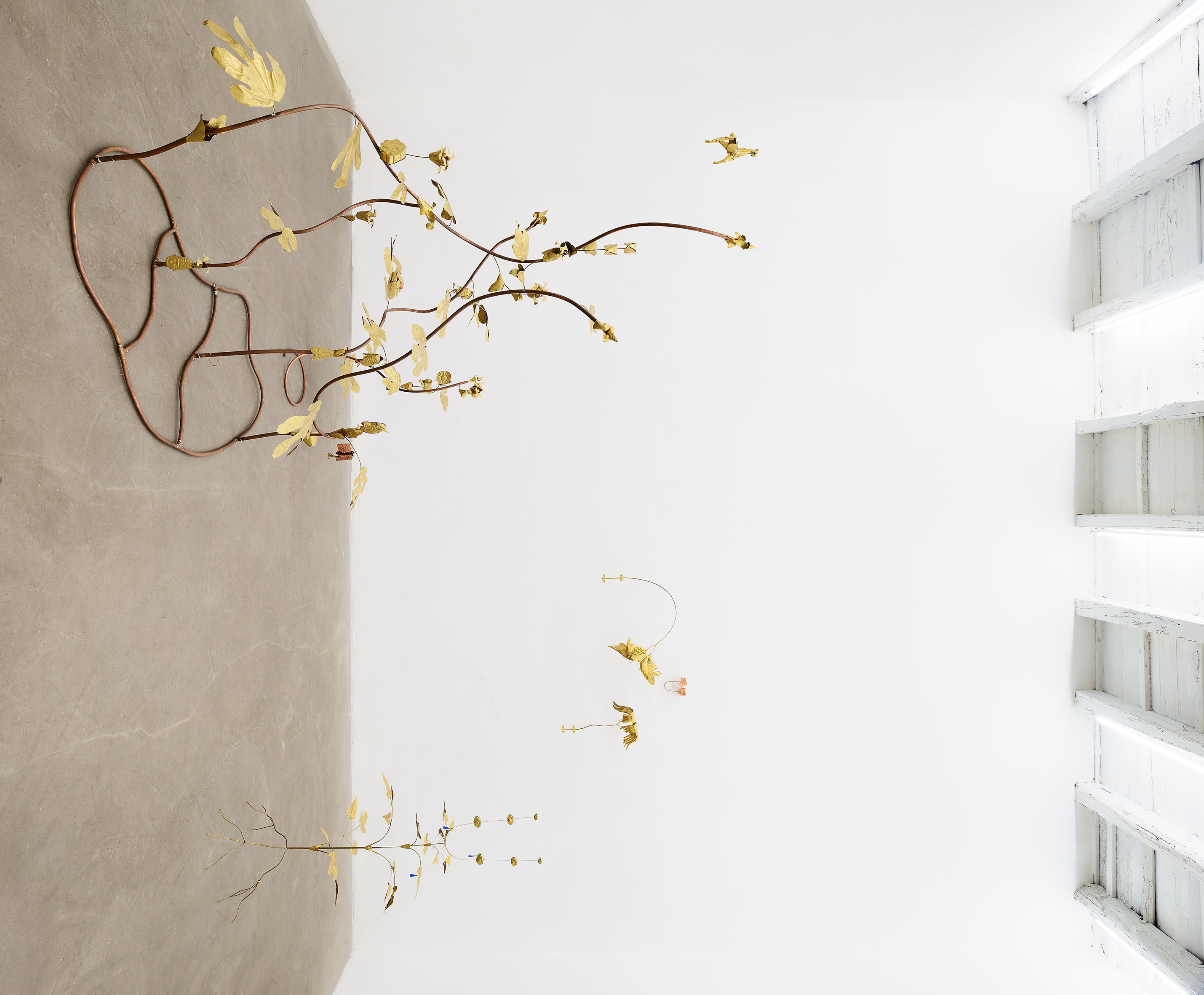 Blanca Gracia, Marginalia, 2025. Installation view at ADA, Rome. Photo by Roberto Apa. Courtesy of ADA, Rome