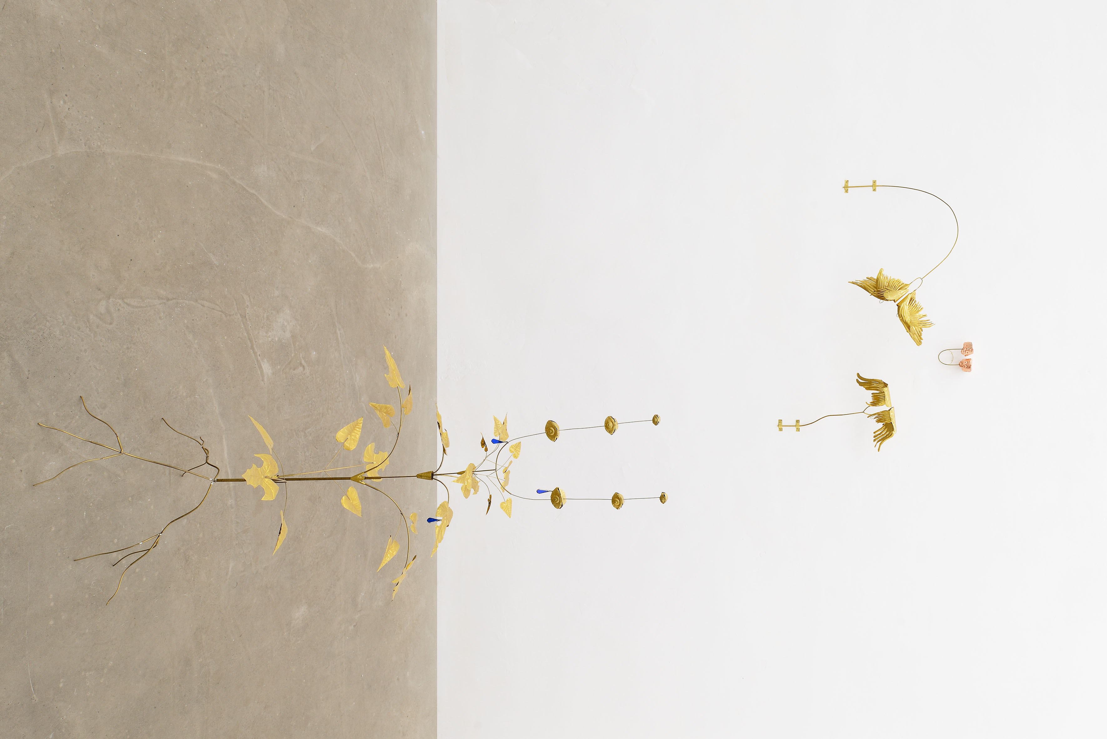 Blanca Gracia, Marginalia, 2025. Installation view at ADA, Rome. Photo by Roberto Apa. Courtesy of ADA, Rome