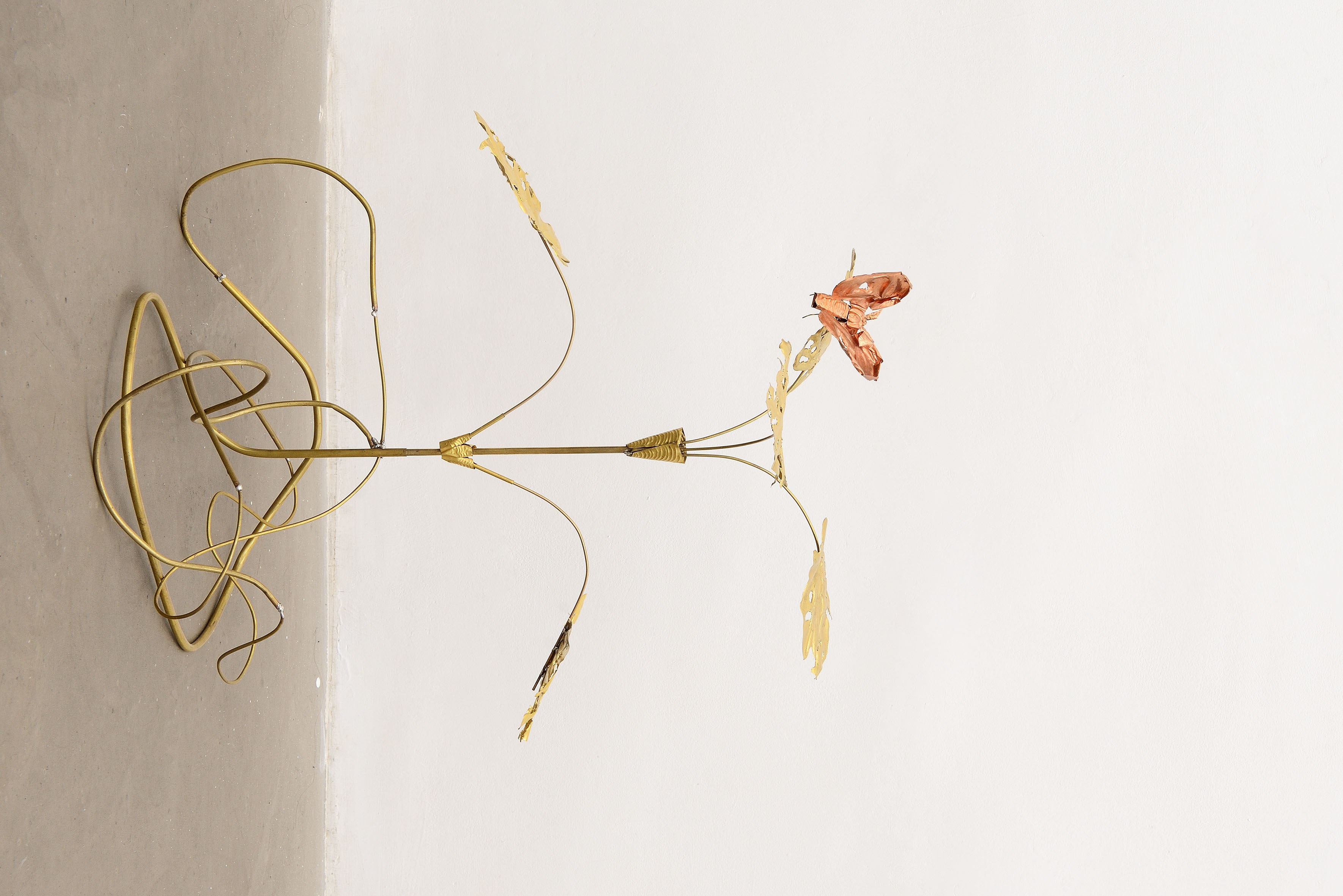 Blanca Gracia, Batesian Mimicry, 2023, hand-embossed copper and brass plates and rods, lacquered and soldered with tin and silver, 60 x 50 x 50 cm. Photo by Roberto Apa. Courtesy of ADA, Rome