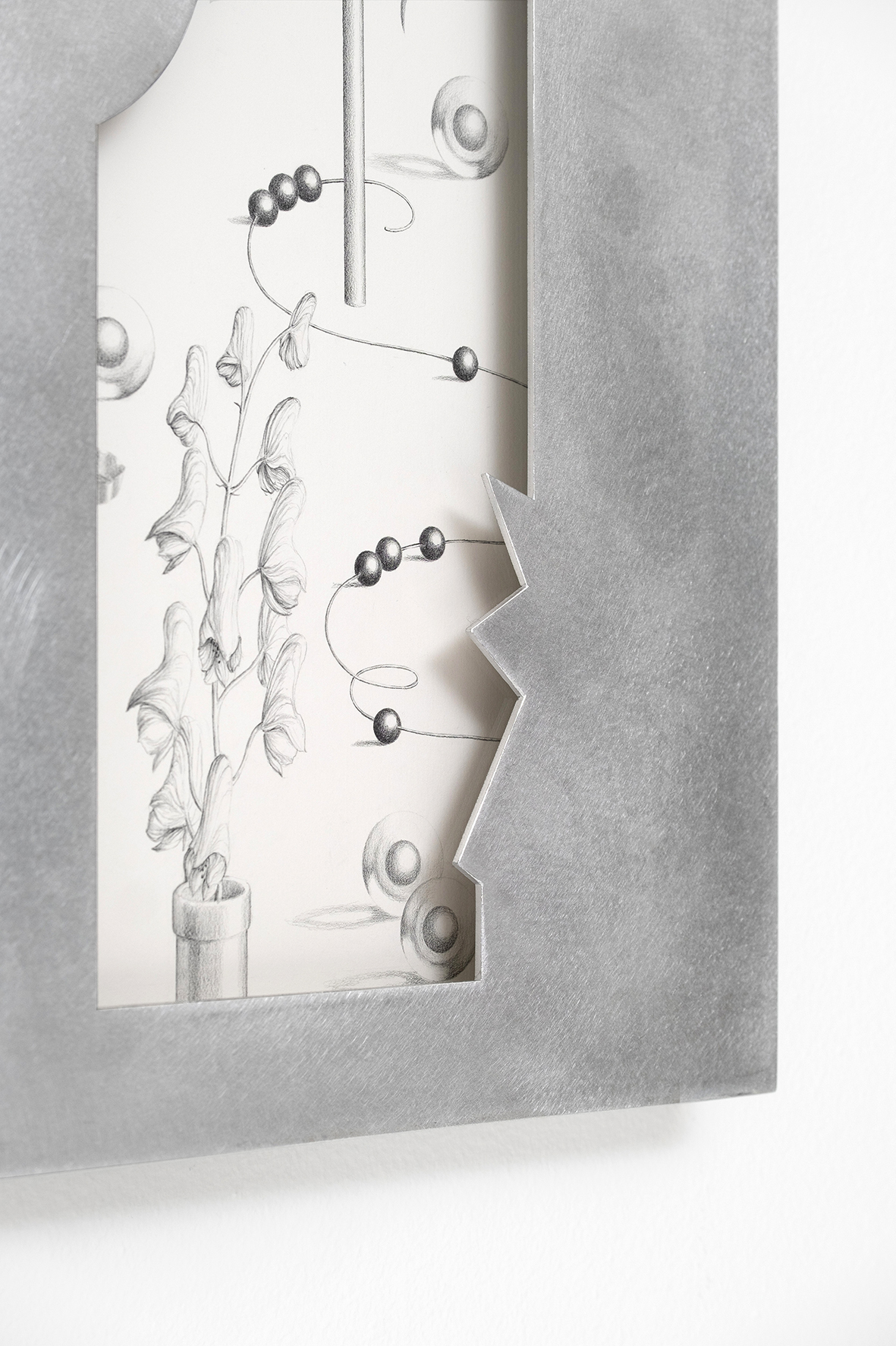 Anna Mari Liivrand. Fading Voltage, Northern Wolfsbane. 44, 30 cm, aluminum frame, graphite and colored pencil on cotton paper, museum glass. 2025, Photo Albert Kerstna. Detail