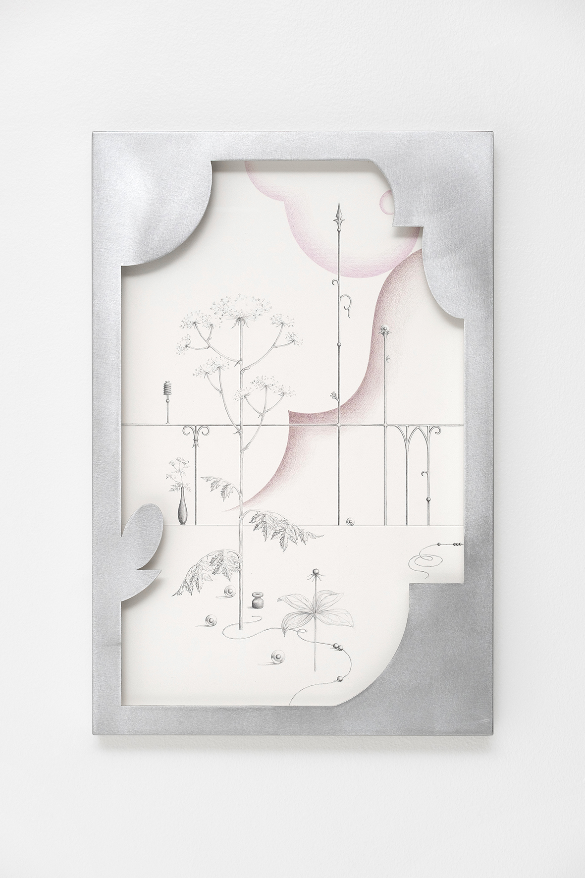 Anna Mari Liivrand. Fading Voltage, Cow Parsnip, Hemlock and Herb Paris. 60 x 42 cm,  aluminum frame, graphite and colored pencil on cotton paper, museum glass 2025.Photo Albert Kerstna