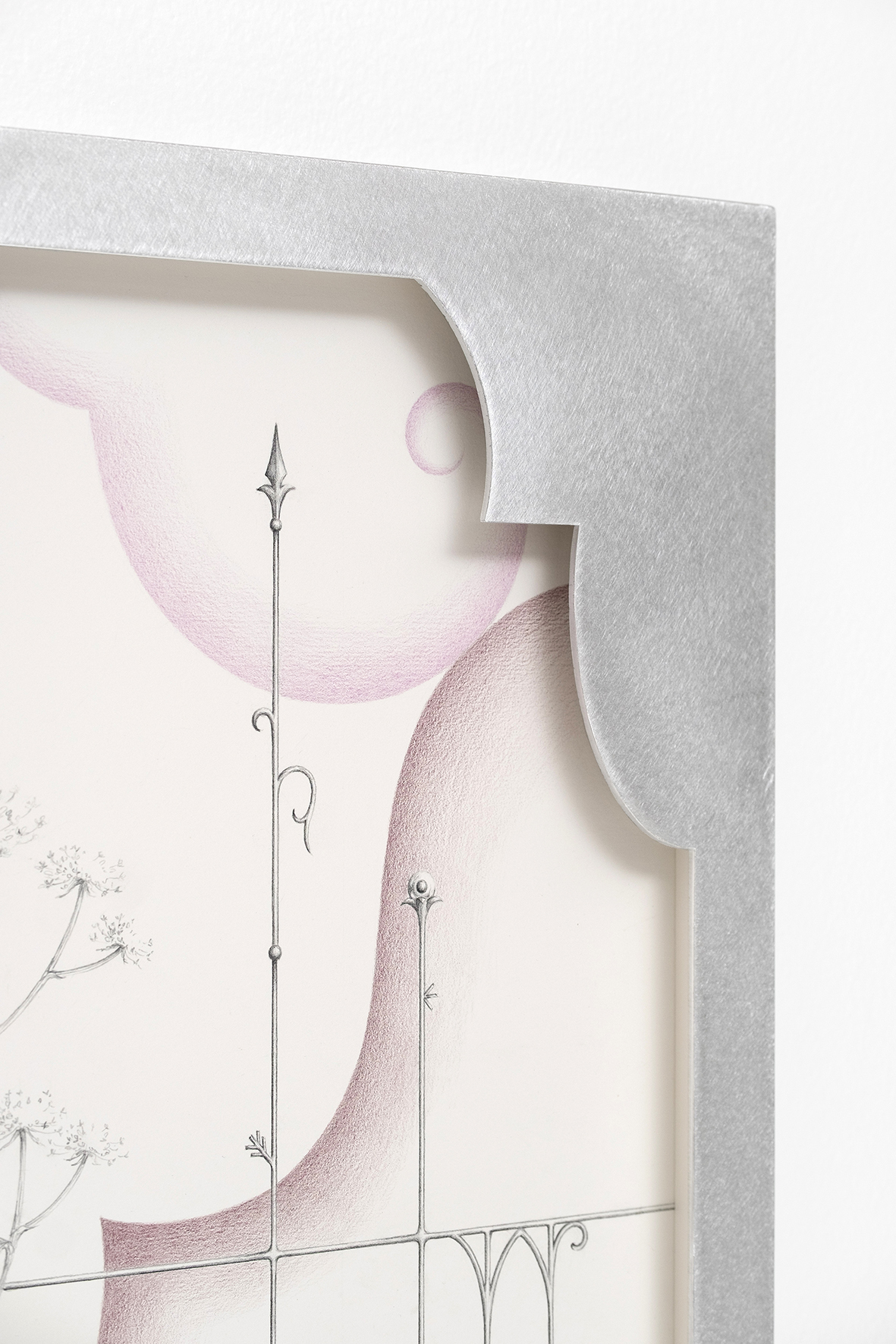 Anna Mari Liivrand. Fading Voltage, Cow Parsnip, Hemlock and Herb Paris. 60 x 42 cm,  aluminum frame, graphite and colored pencil on cotton paper, museum glass 2025. Photo Albert Kerstna. Detail