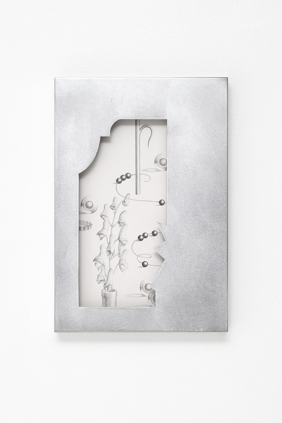 Anna Mari Liivrand. Fading Voltage, Northern Wolfsbane. 44, 30 cm, aluminum frame, graphite and colored pencil on cotton paper, museum glass.2025, Photo Albert Kerstna