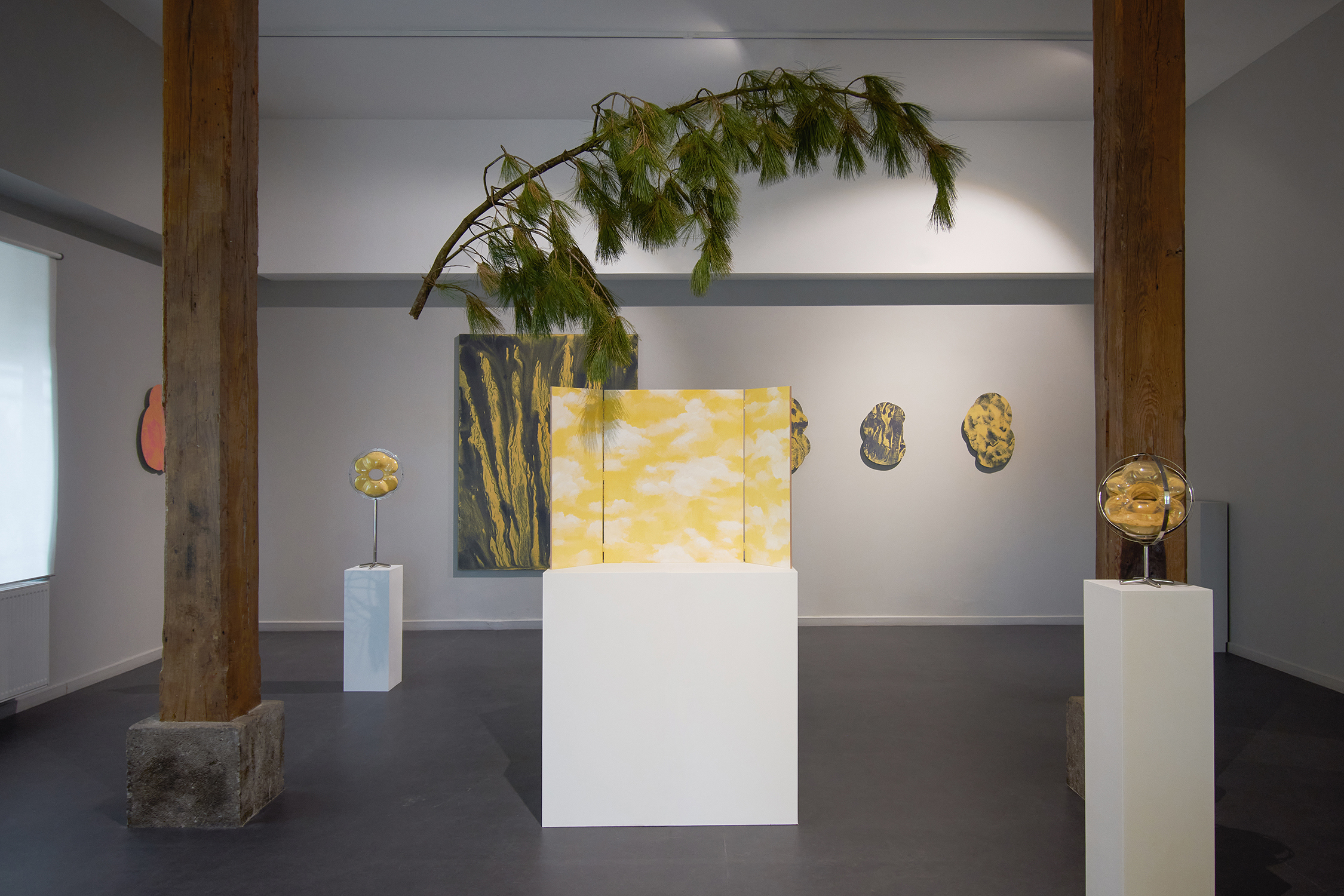 From a branch I had climbed - Exhibition view 