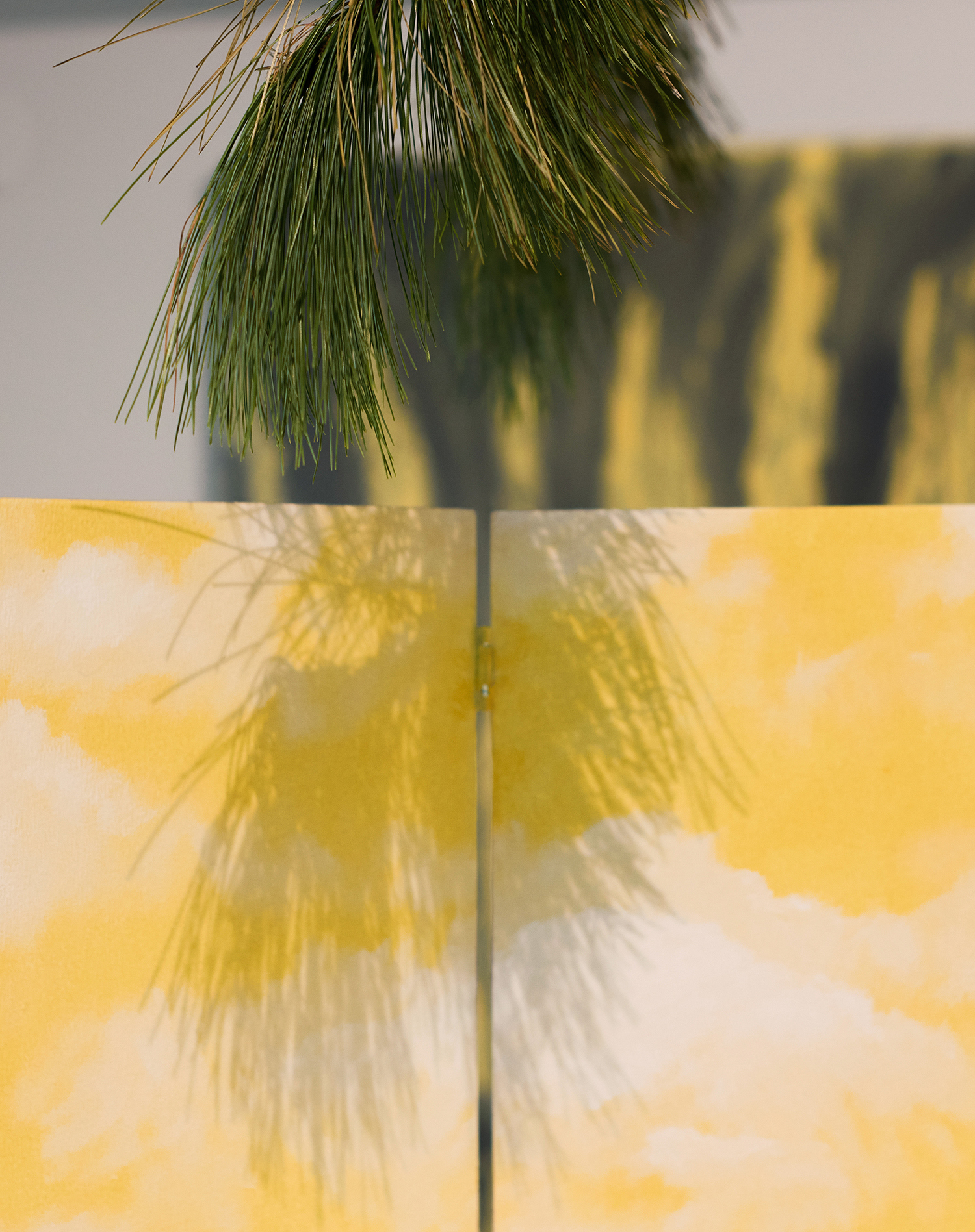 From a branch I had climbed - Exhibition view