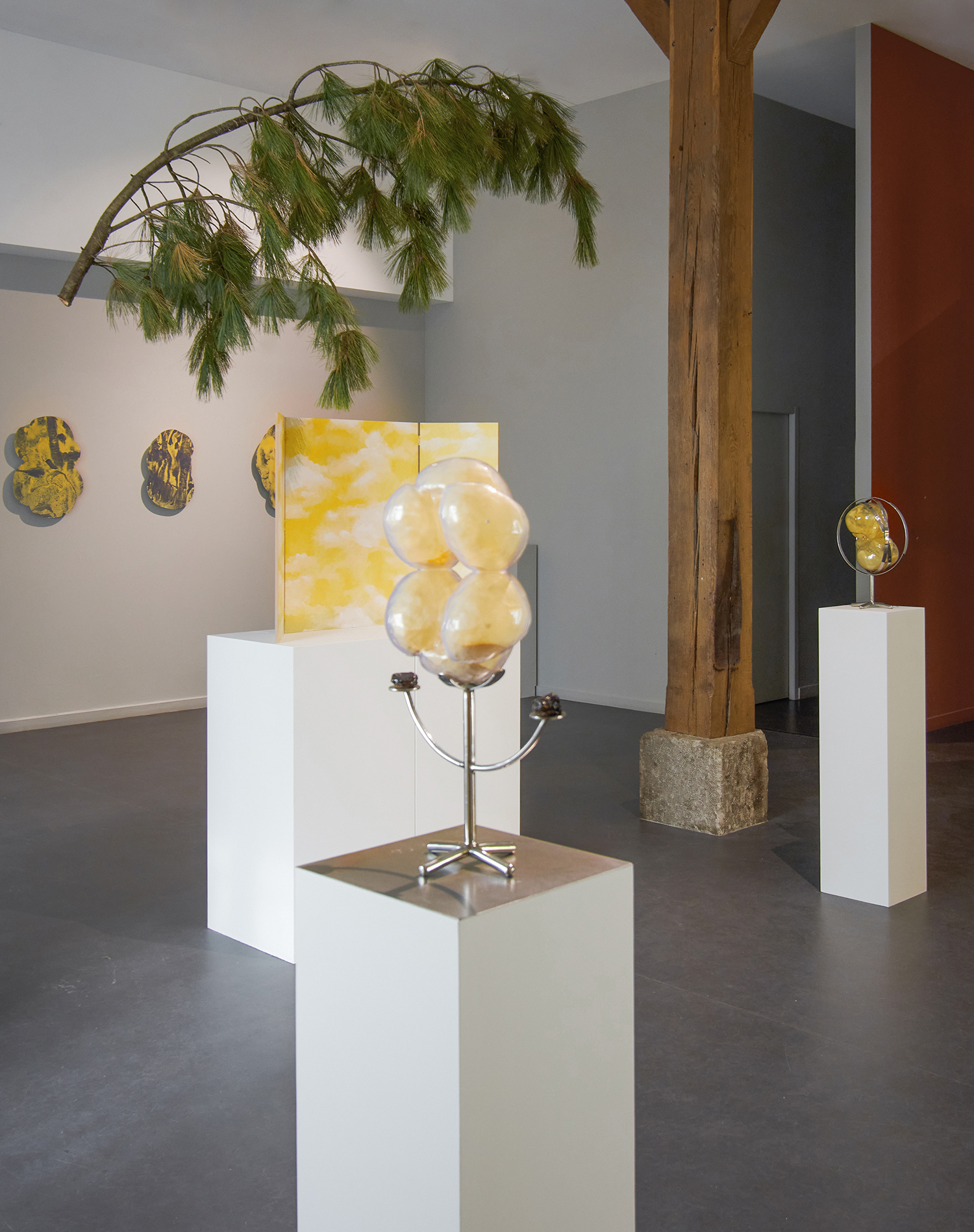 From a branch I had climbed - Exhibition view