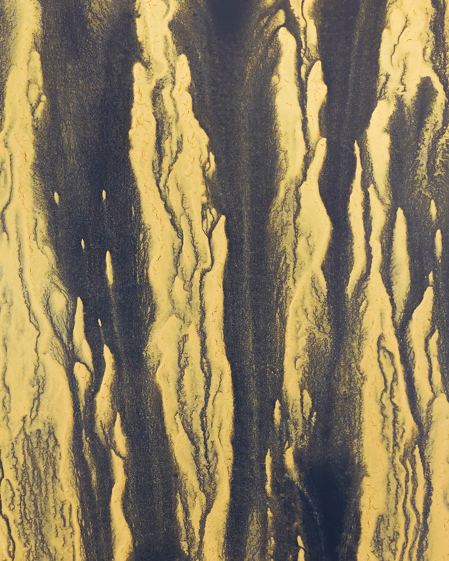 From a branch I had climbed - Exhibition view